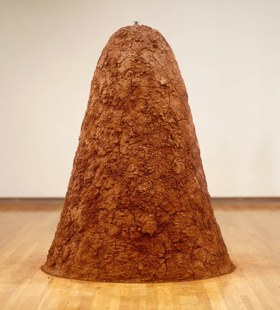 Earth-Mound2006.rt_.jpg