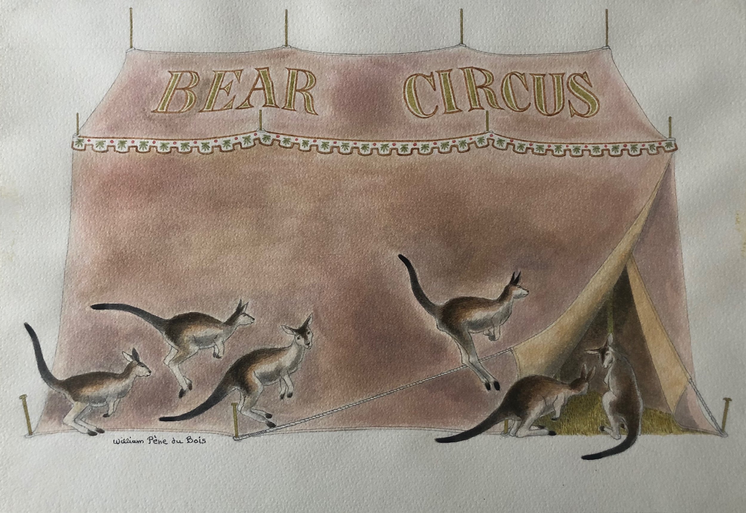 Untitled (from "Bear Circus"), 1971
