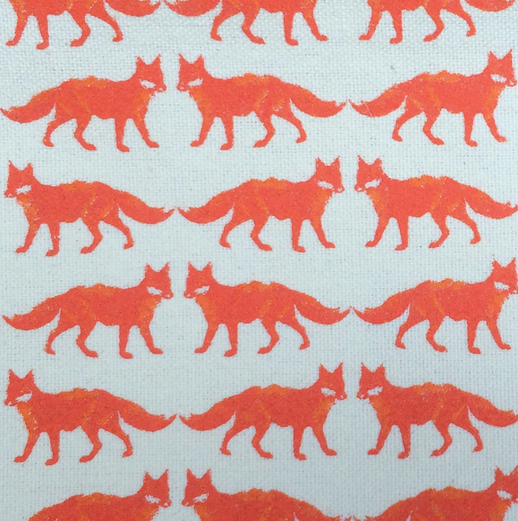 fox.crop.sq.jpg