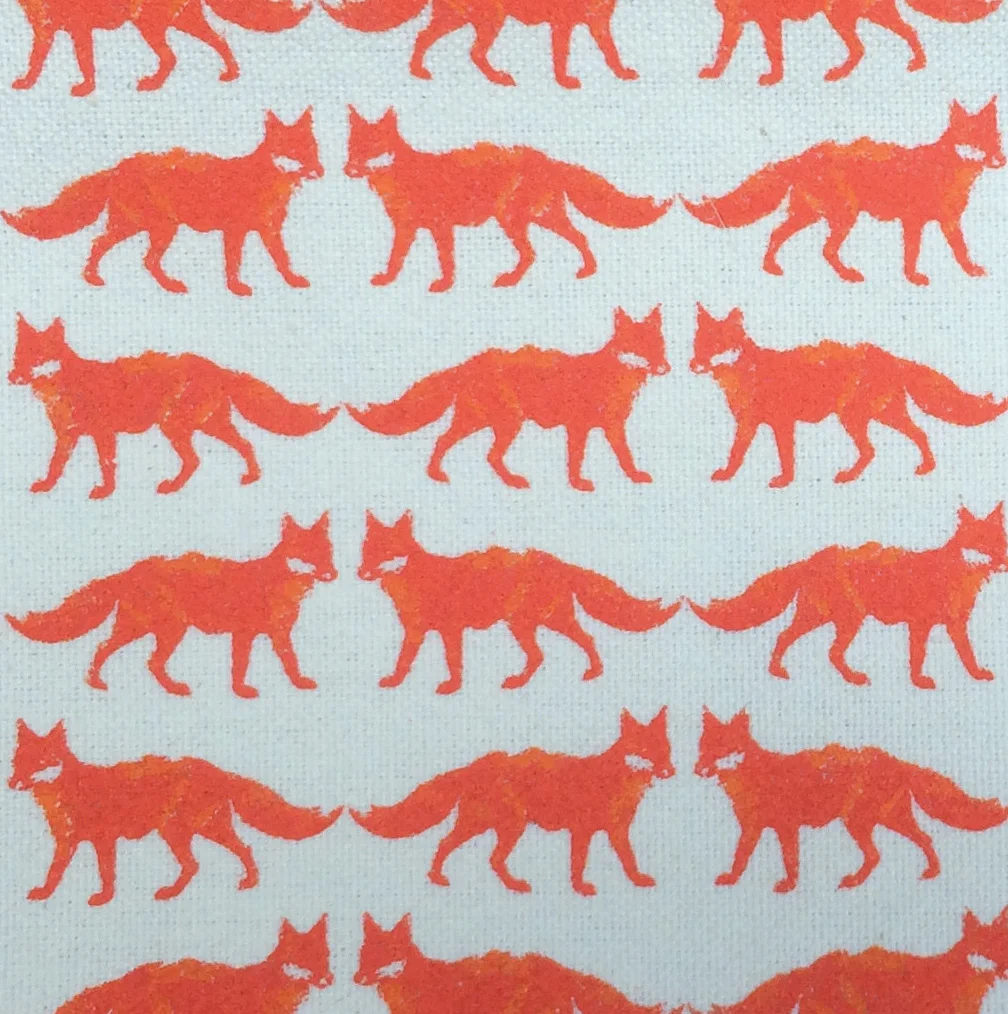 fox.crop.sq.jpg