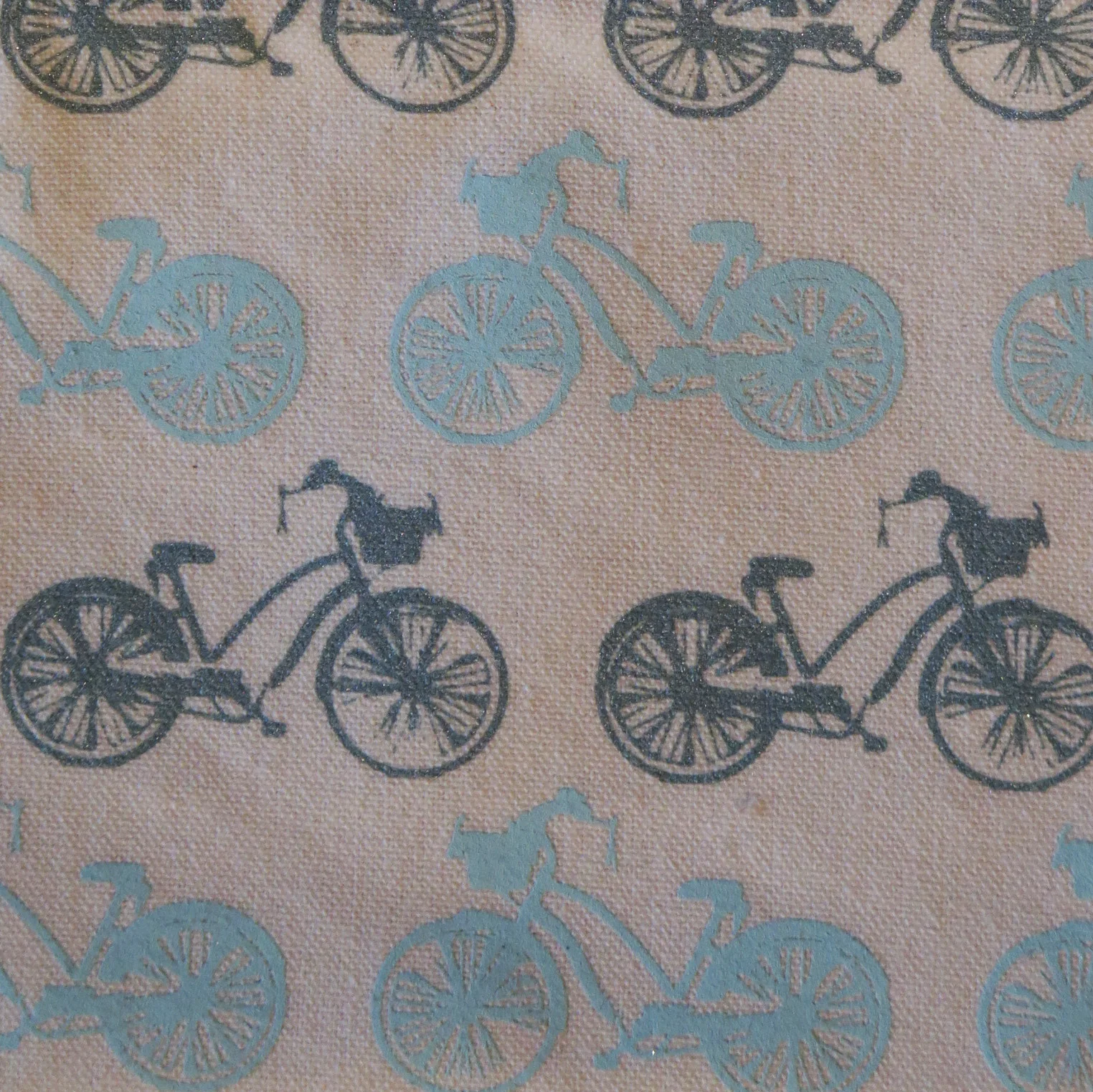 bikes.crop.jpg