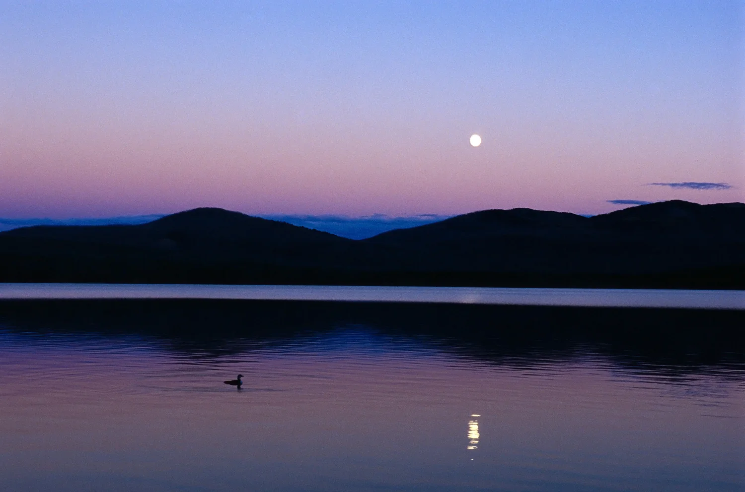 noiseiut10_TA_heart_lake.jpg