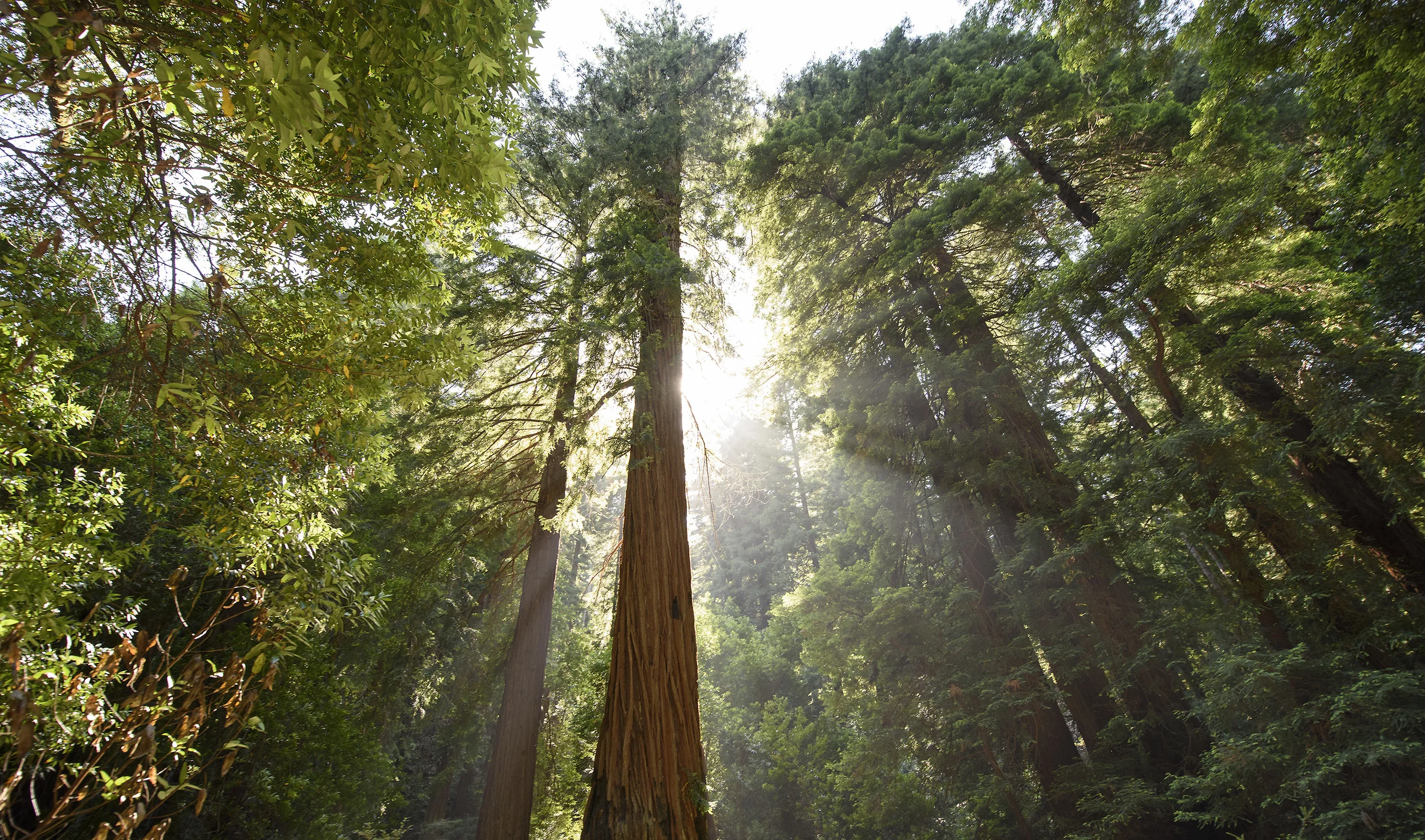 San Francisco, California