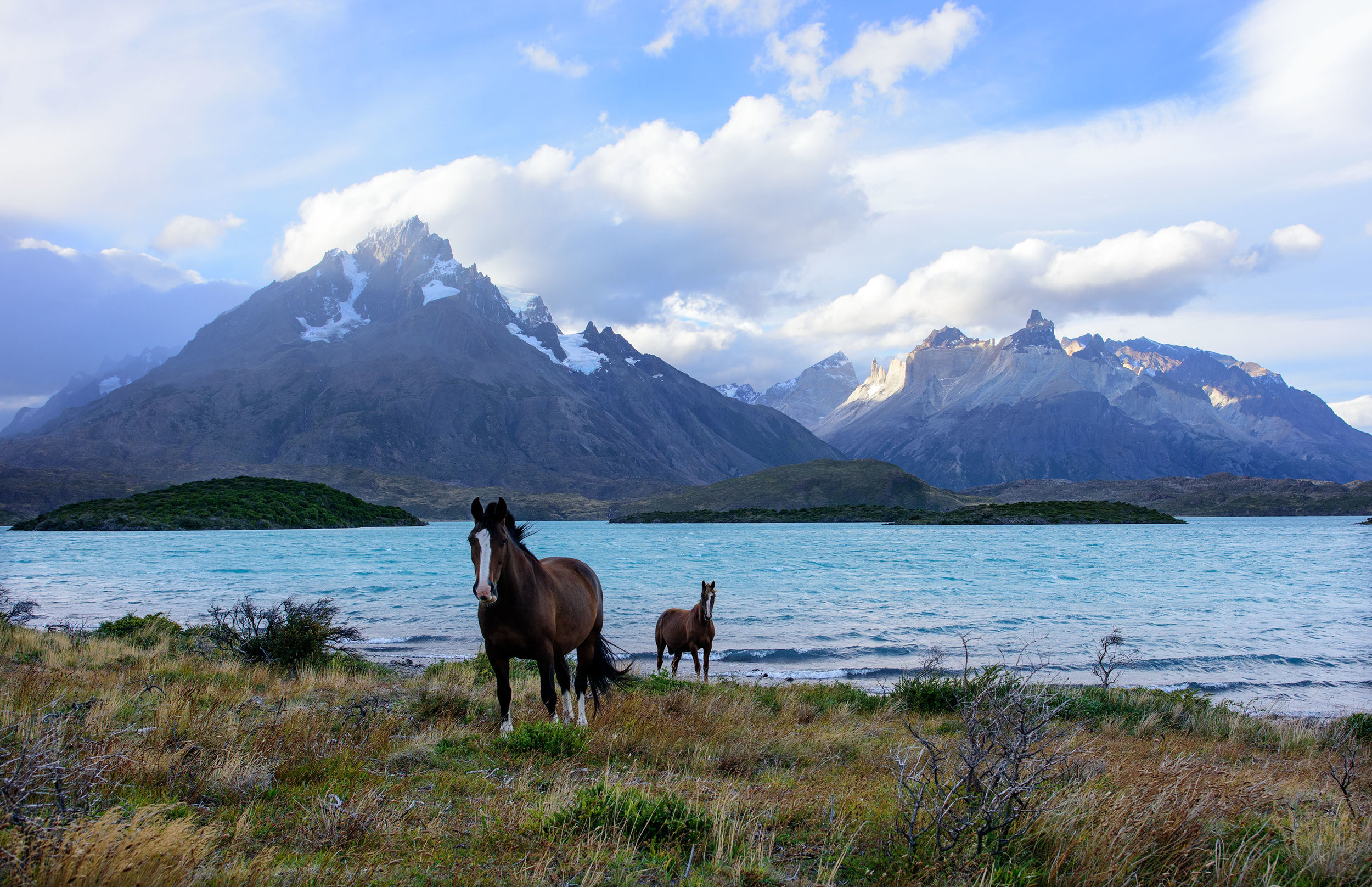 Torres del Paine National Park