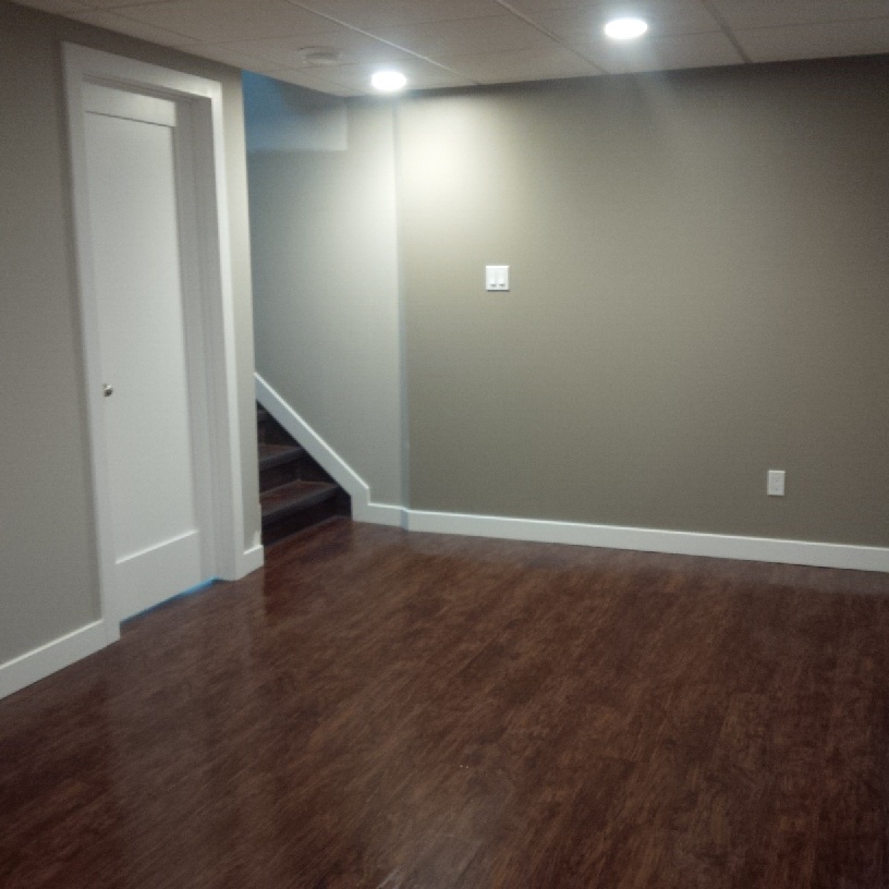 Girgis Basement (8).jpg