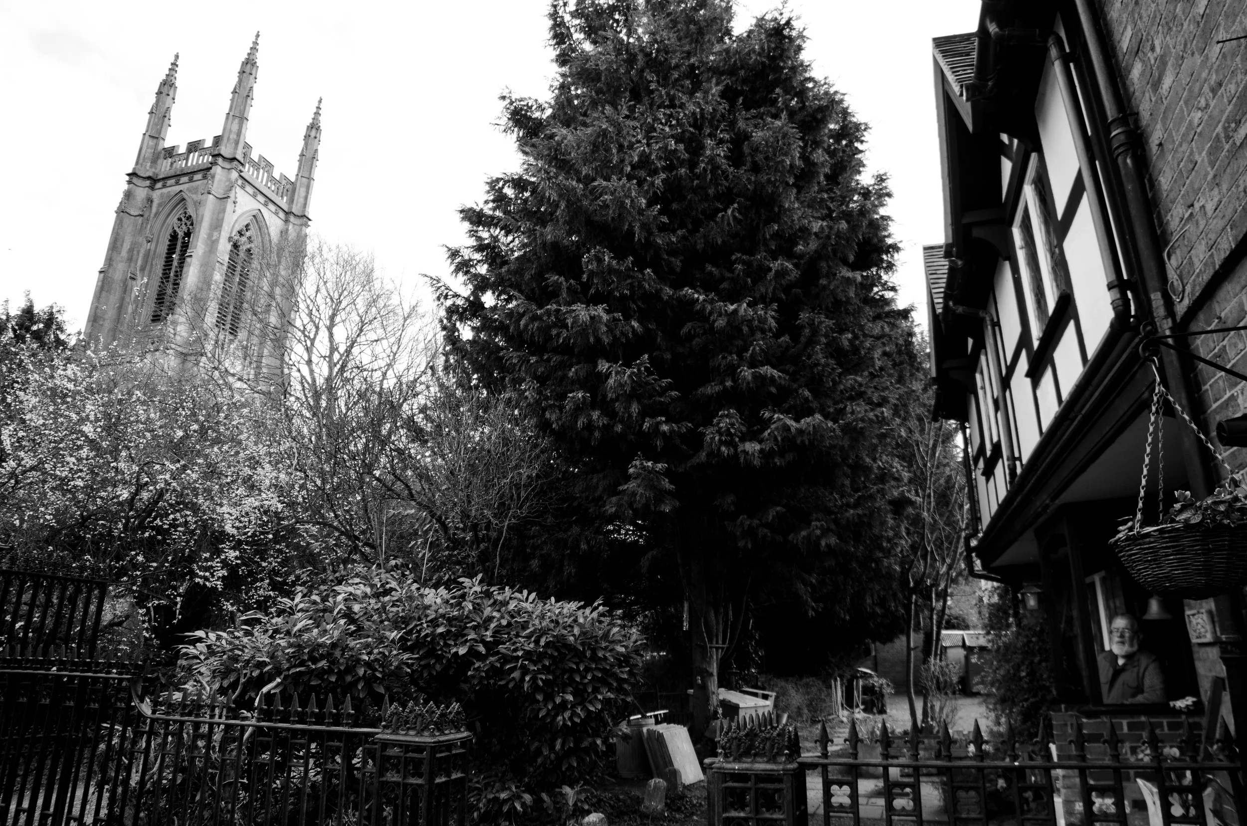 DSC_0305.jpg