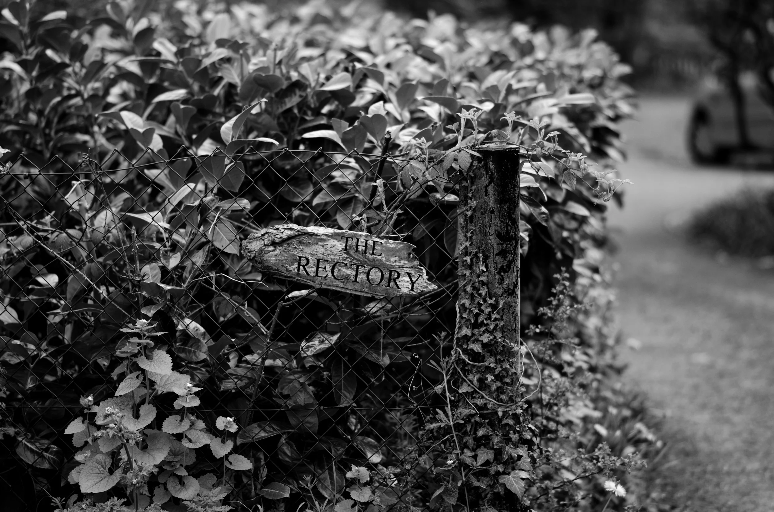 DSC_0021.jpg
