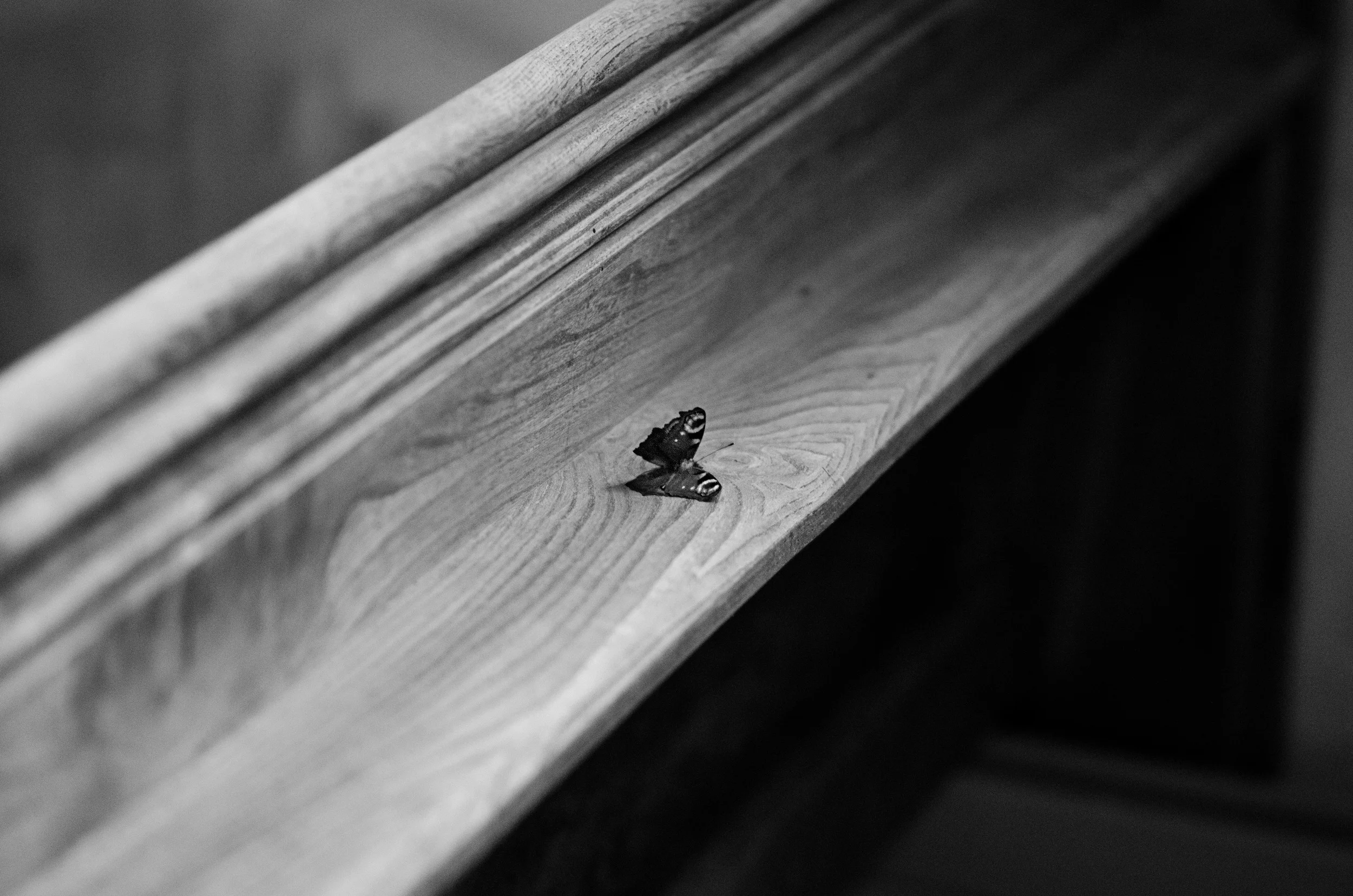 DSC_0644.jpg