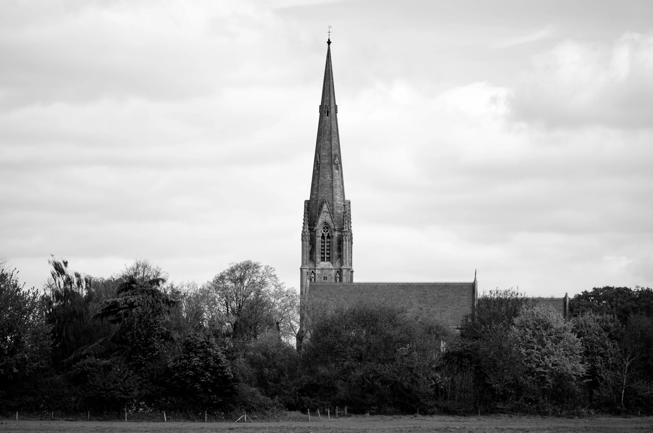 DSC_0707.jpg