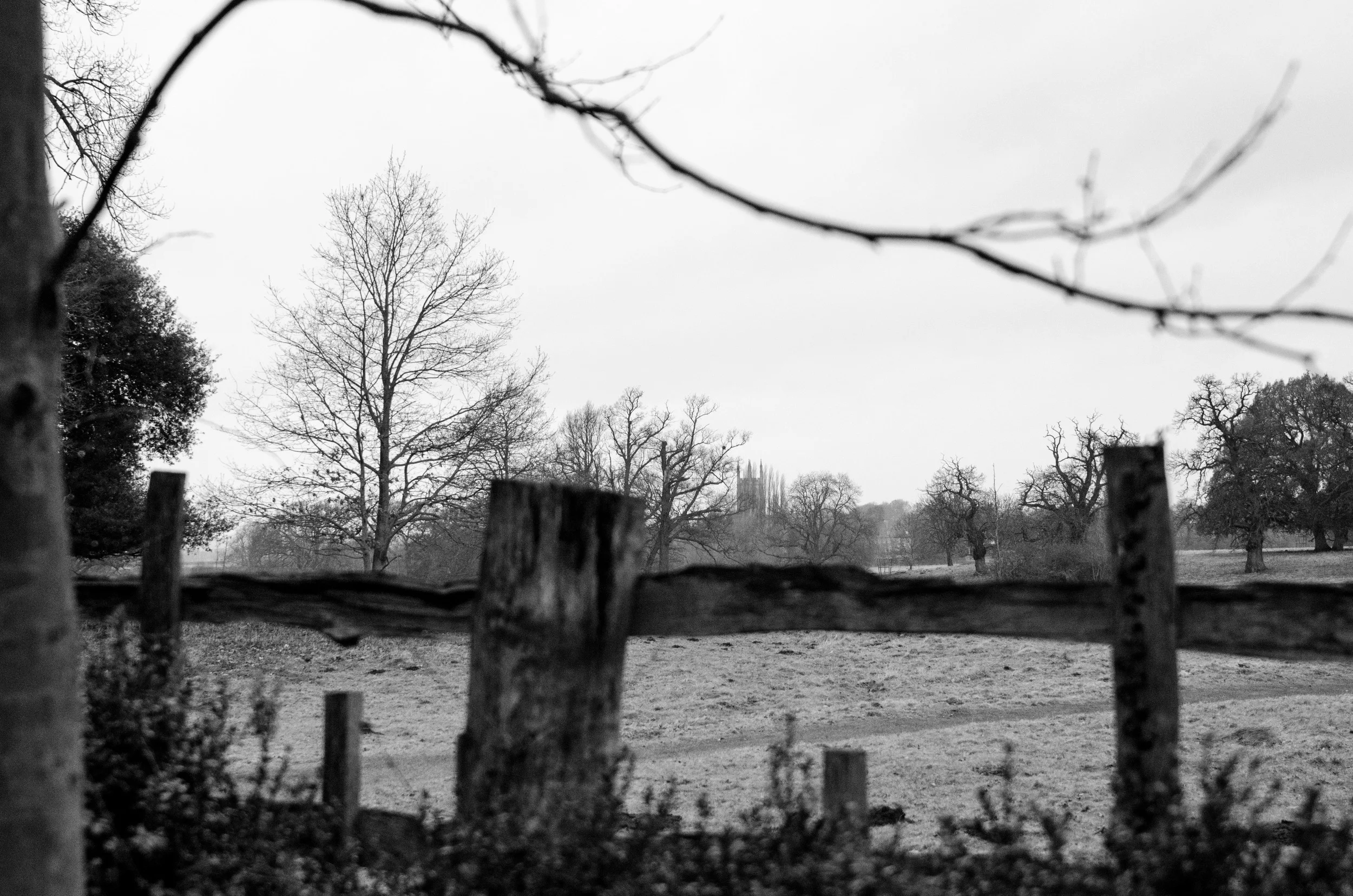 DSC_0802.jpg