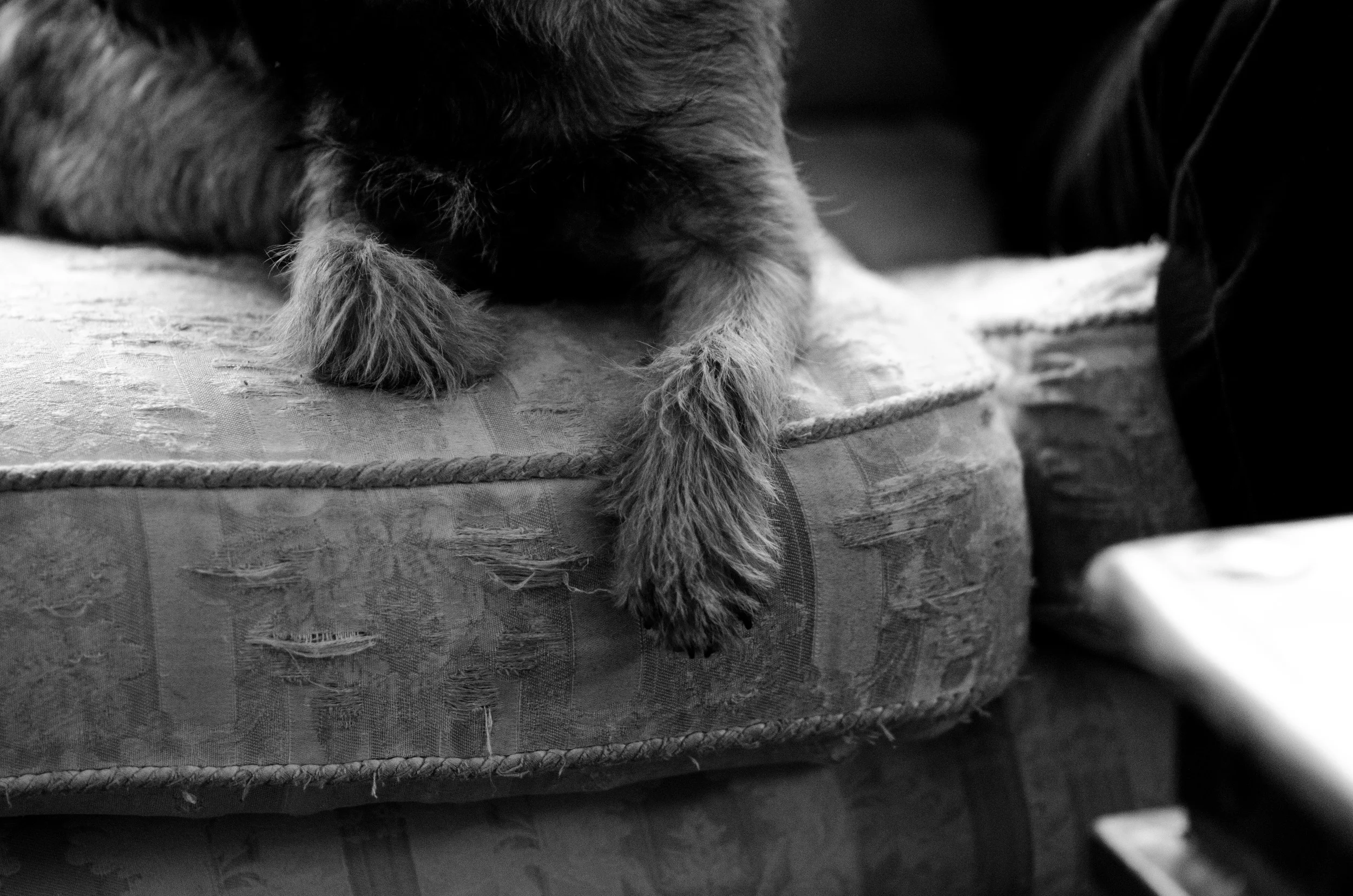 DSC_0942.jpg
