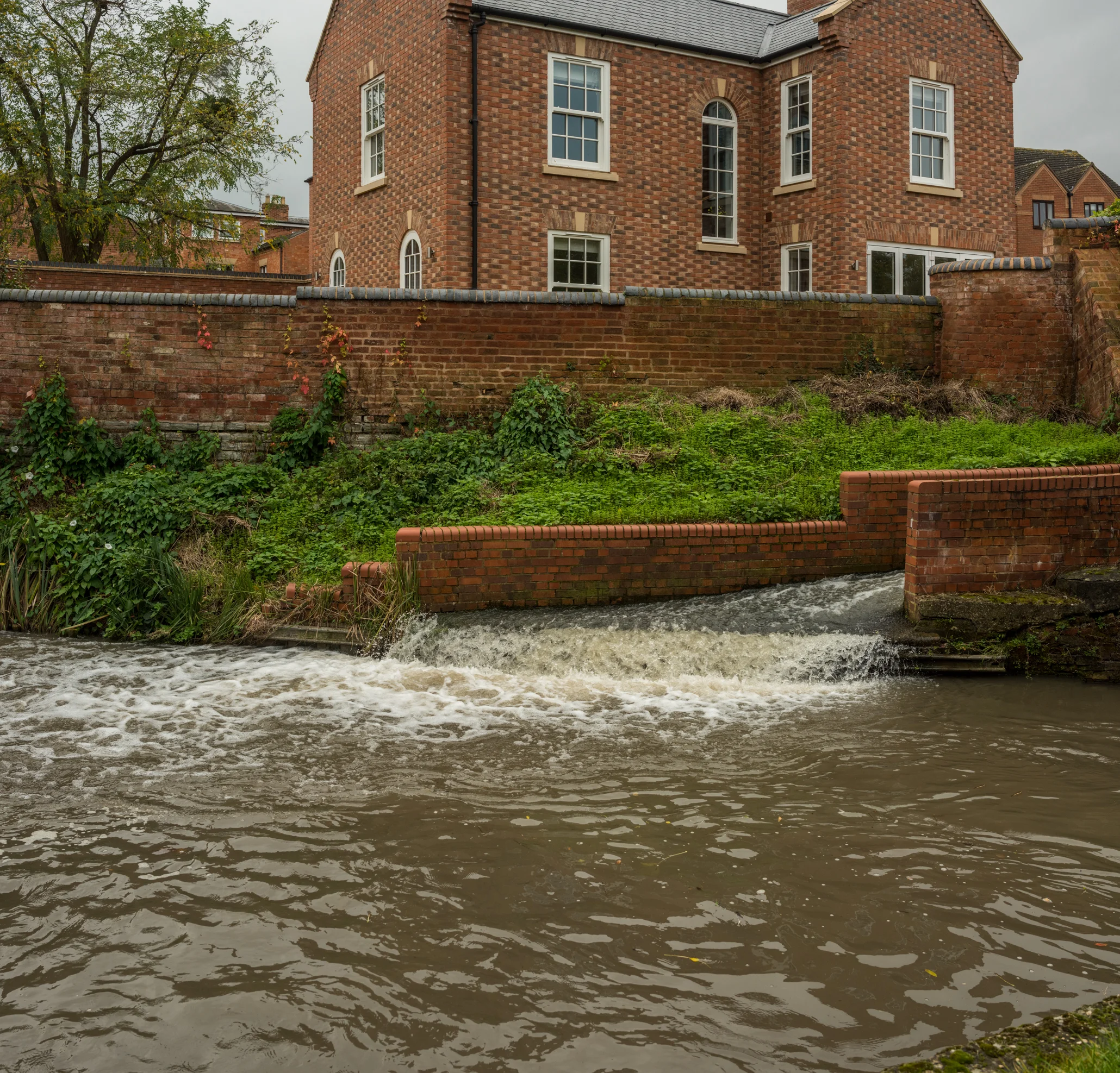 _DSC5644-Pano.jpg