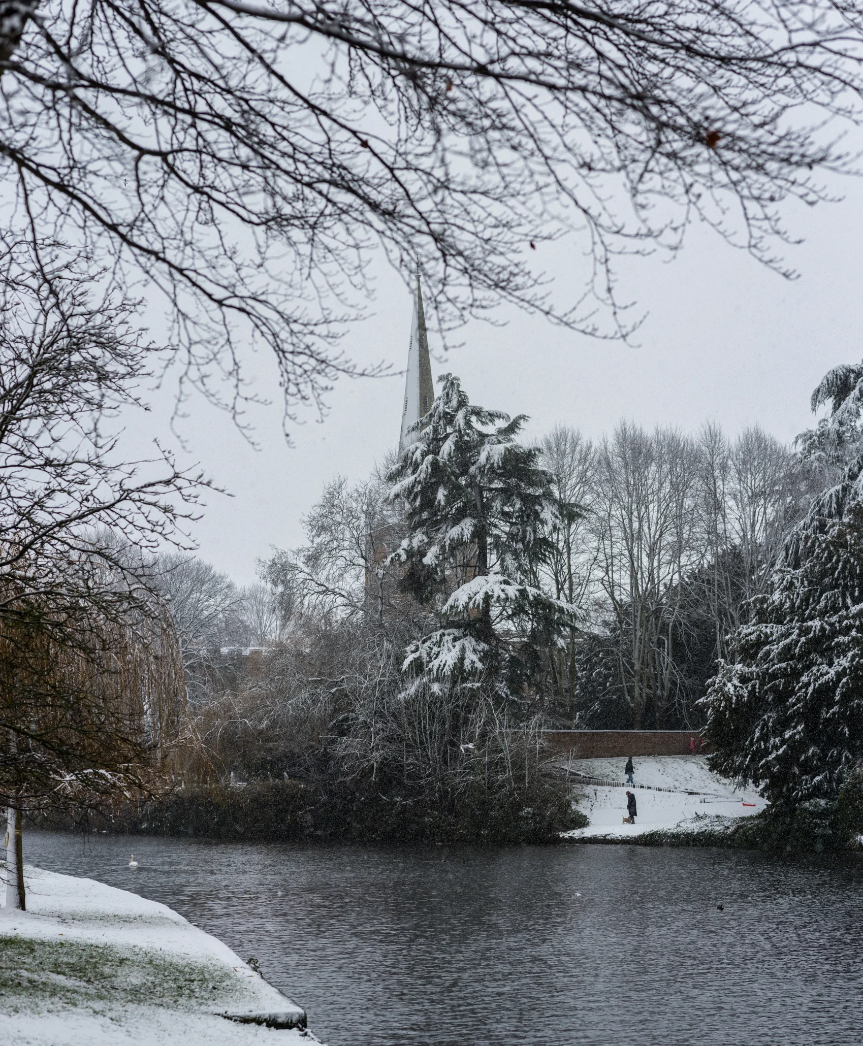 _DSC7863-Pano.jpg