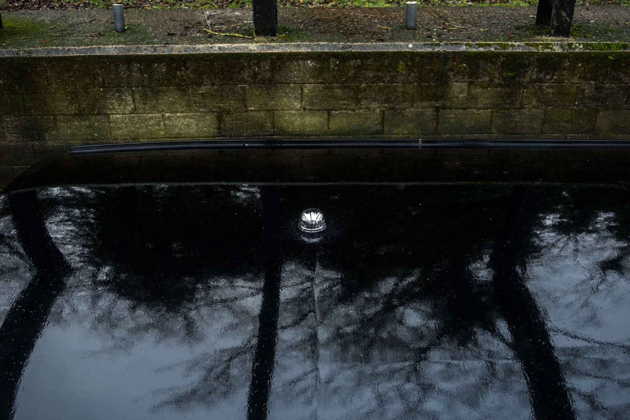 _DSC9589.jpg