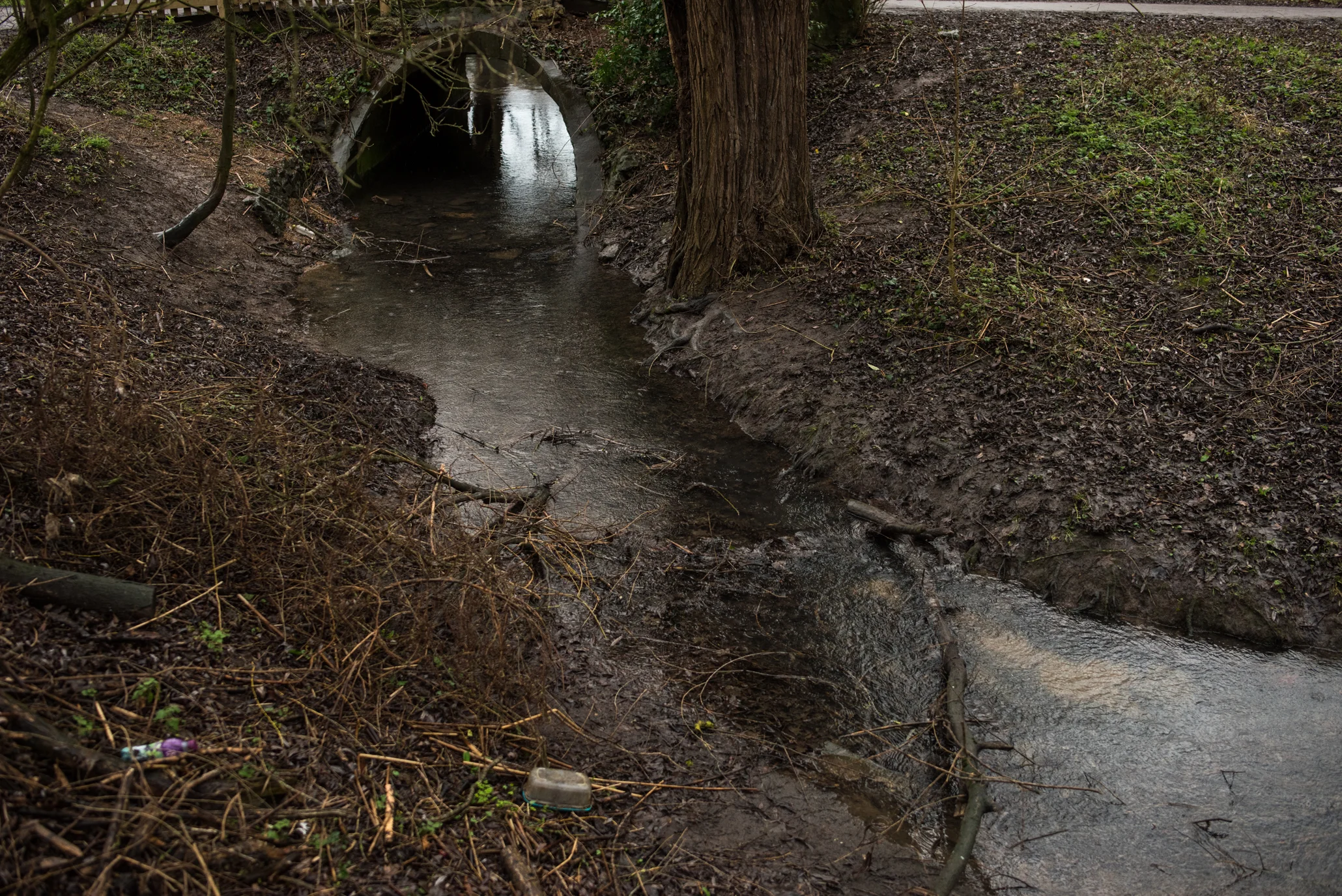 _DSC9549.jpg