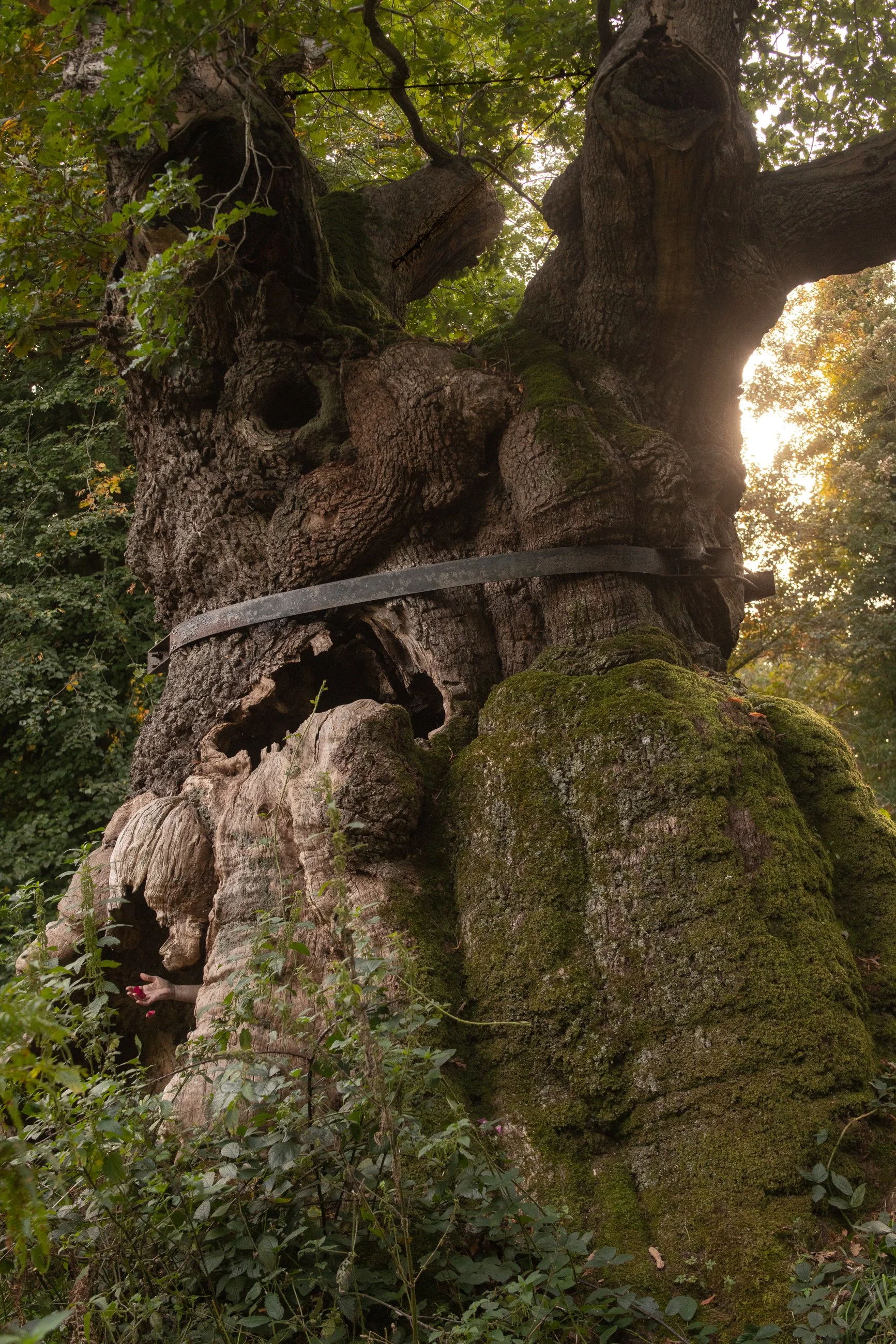 _DSC4050-For Screen Sharp Low-2.jpg