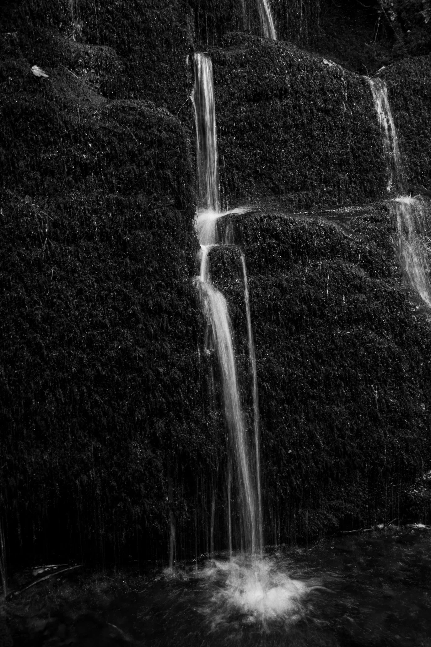 _DSC7686.jpg