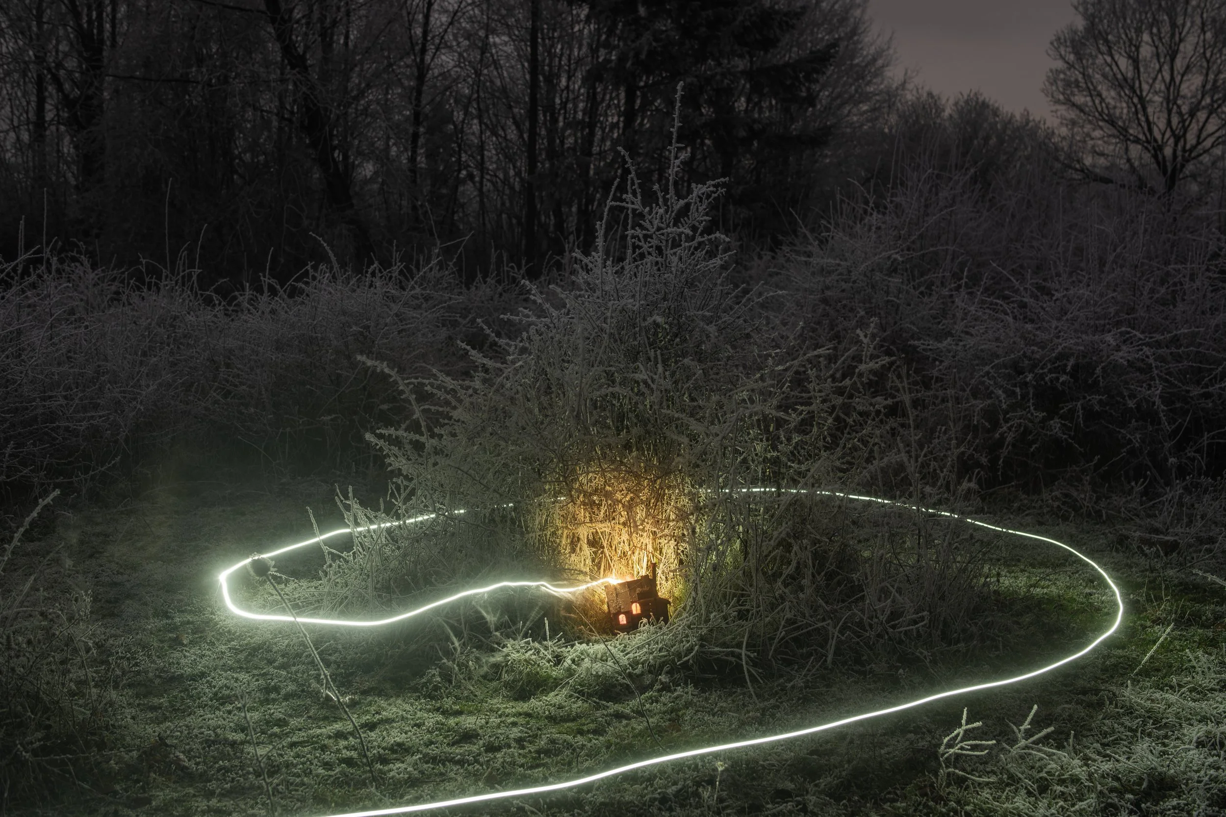 _DSC6237-For Screen Sharp Low-2.jpg