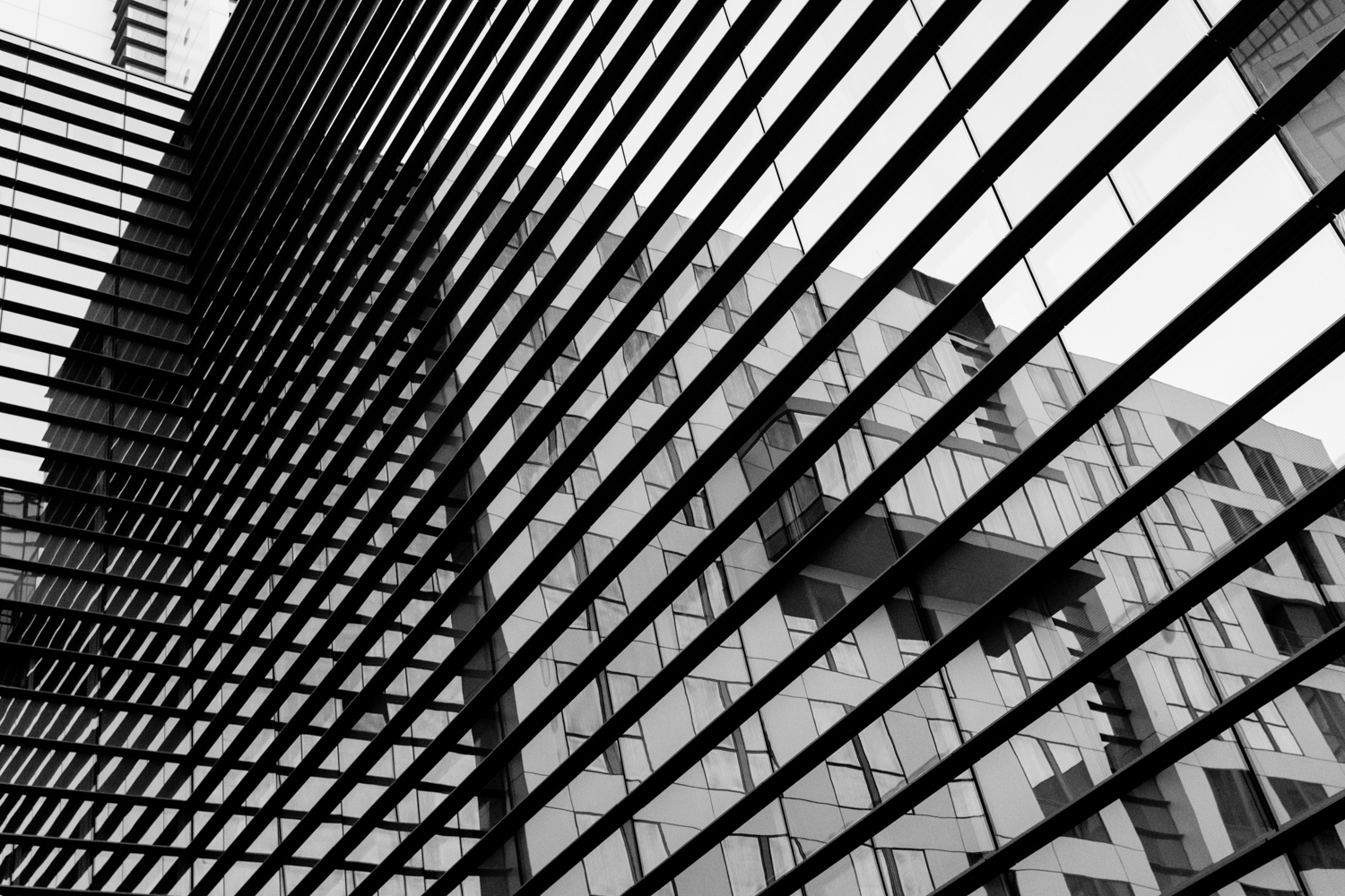 Fuji X100T, 23mm, 1/60sec, f/4.0, ISO 2500