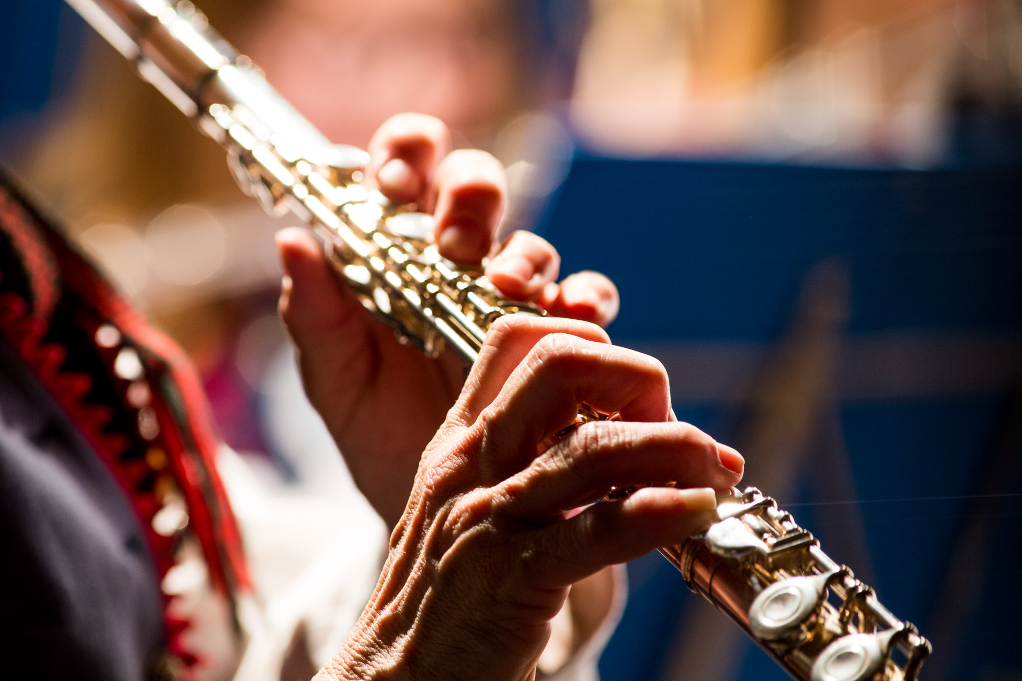 Canon EOS 6D mit EF 300 mm f/4 bei f/5,6; ISO 1600; 1/40 sec