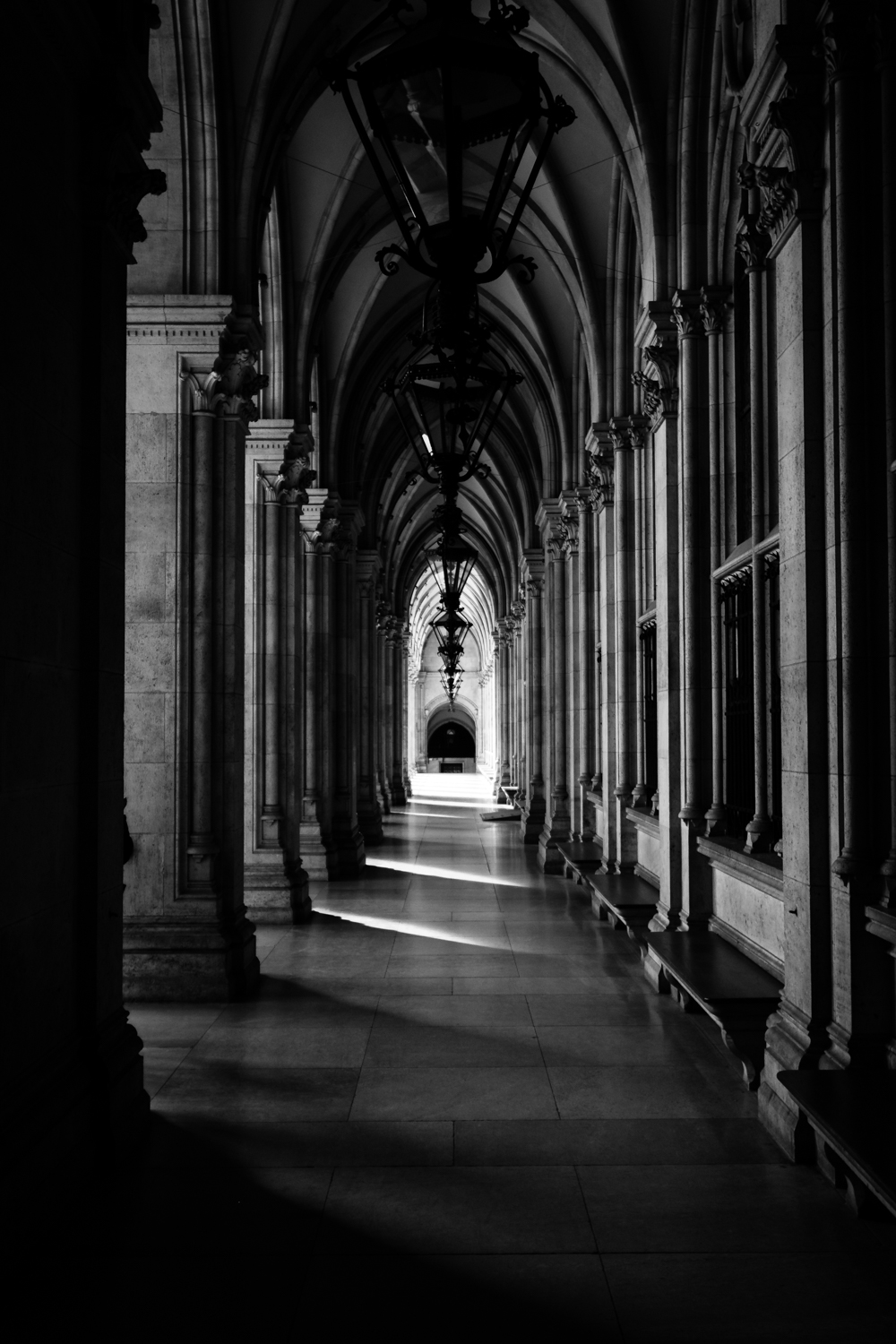 Rathaus, Wien