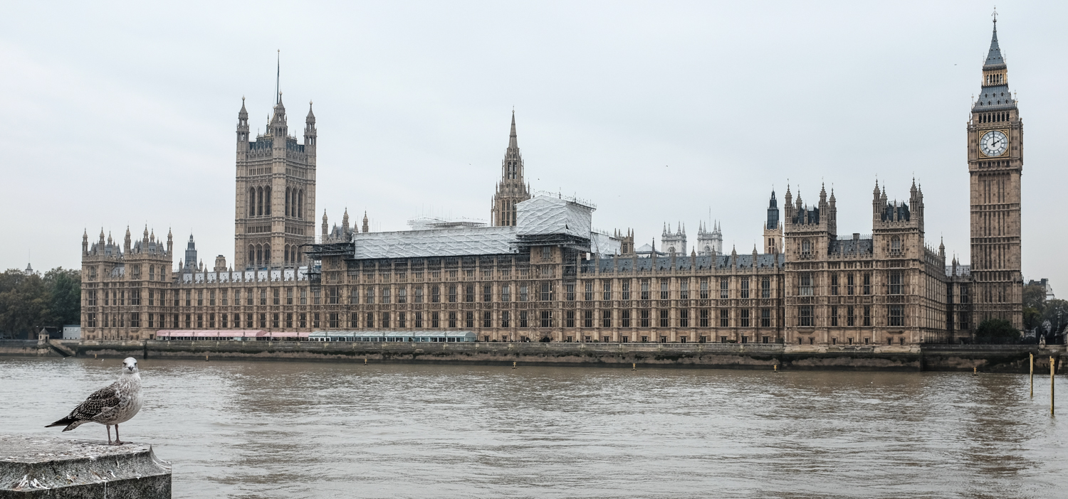 Houses of Parliament & Elisabeth Tower, London