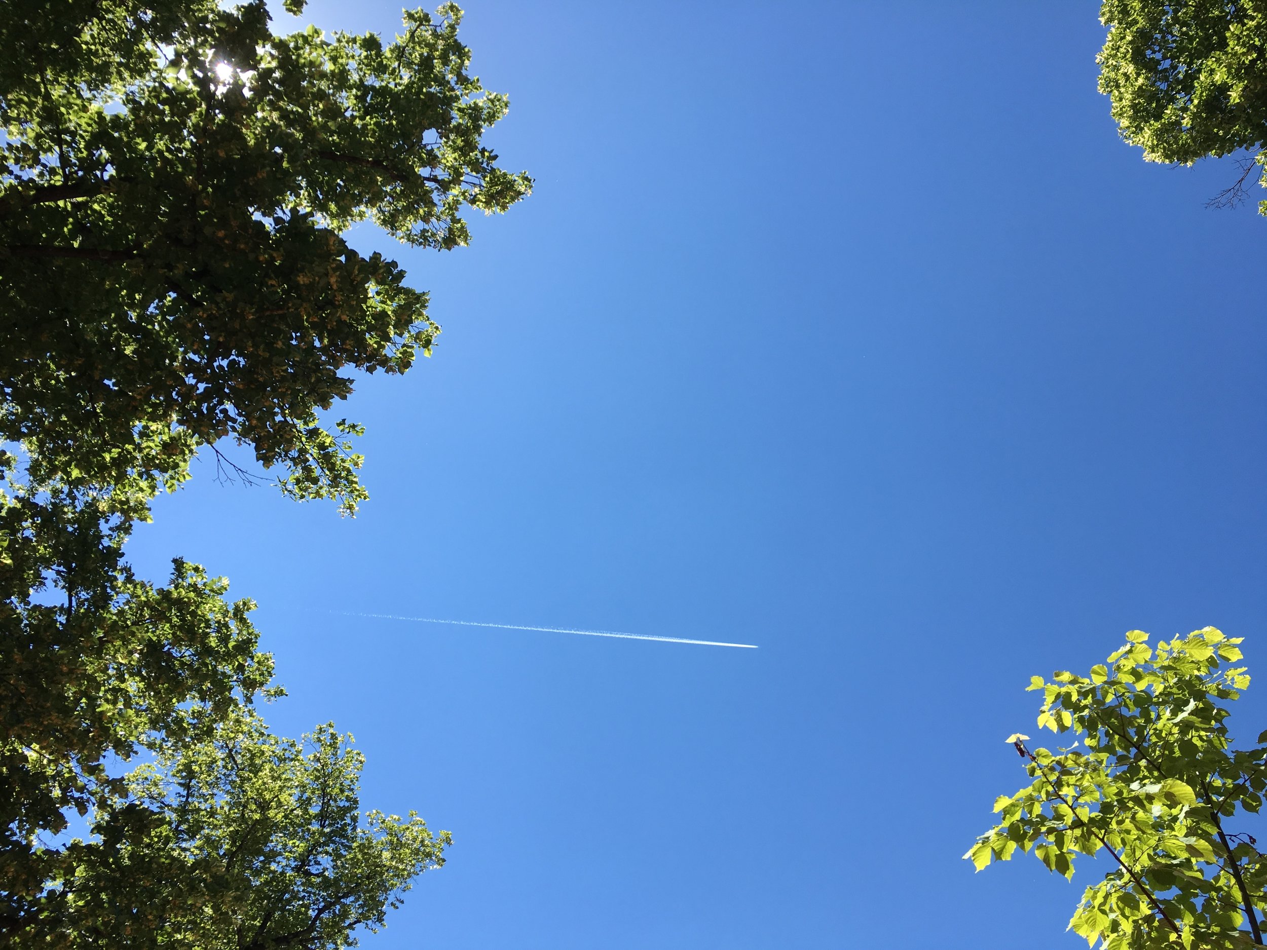 Heiligenkreuz, Juni 2017