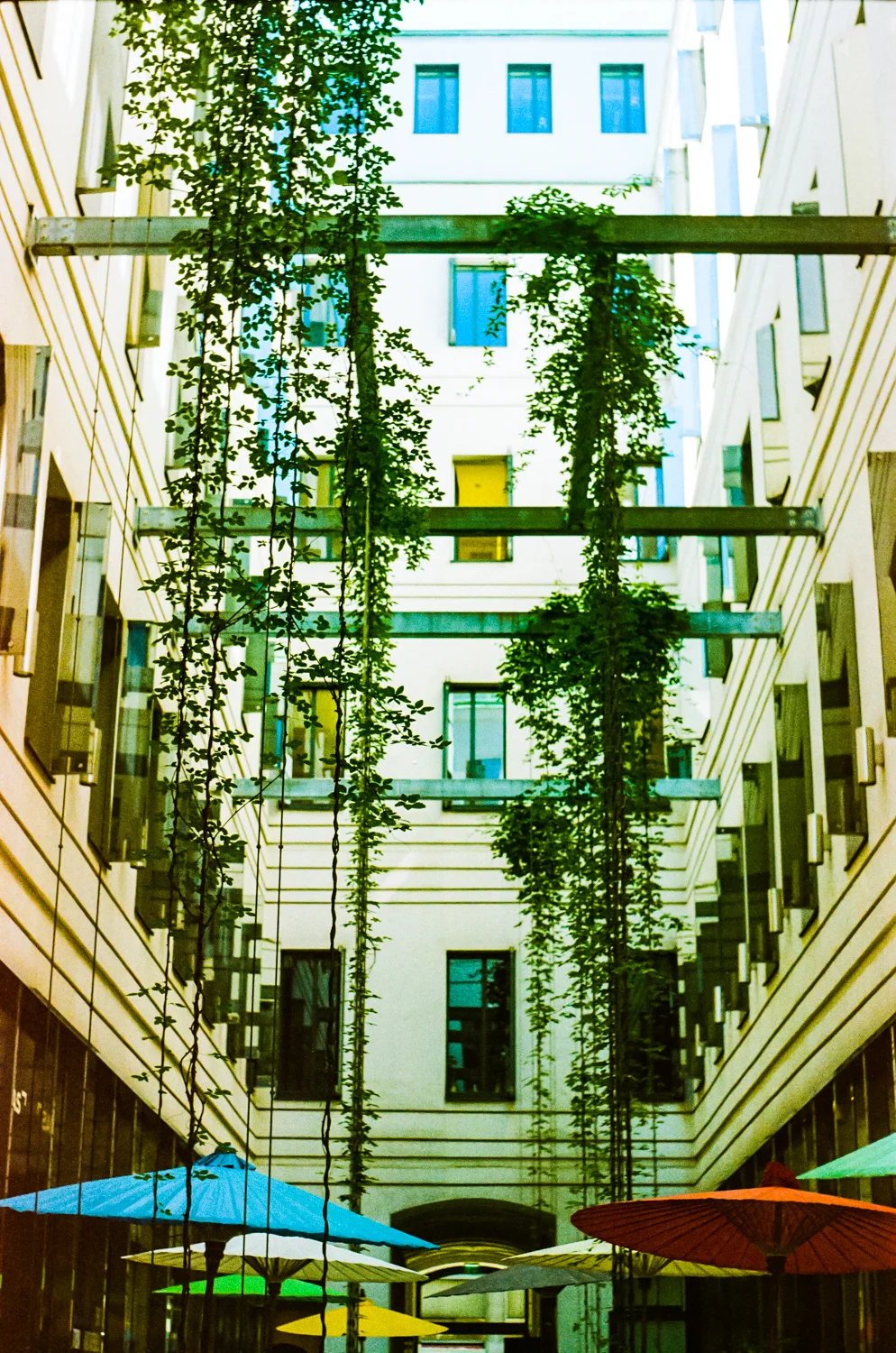 LDA_20170816_Ing.Walk011-0008.jpg