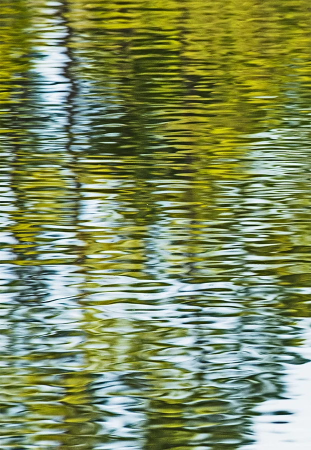 FR_Smith_04_Untitled as Smart Object-1.jpg
