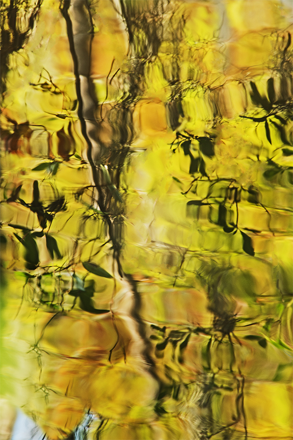 FR_Smith_05_Untitled as Smart Object-1.jpg