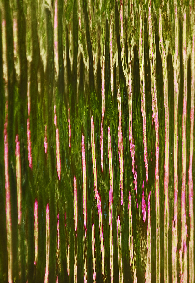 FR_Smith_07_Untitled as Smart Object-1.jpg