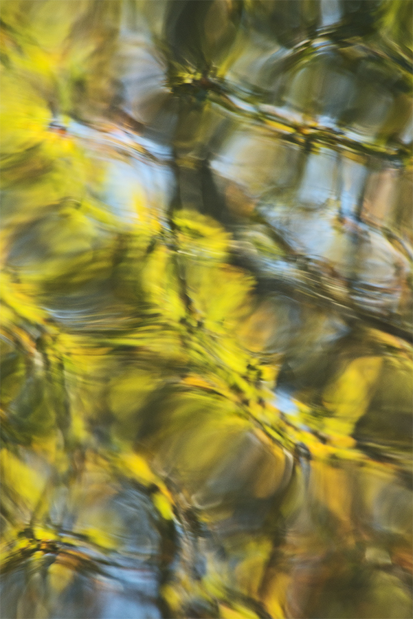 FR_Smith_14_Untitled as Smart Object-1 copy.jpg