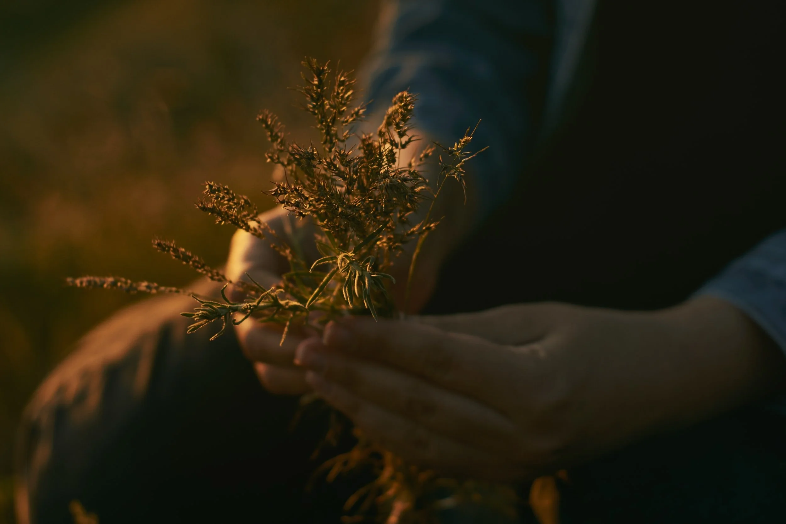 unsplash-image-ChCpQED0VBg.jpg