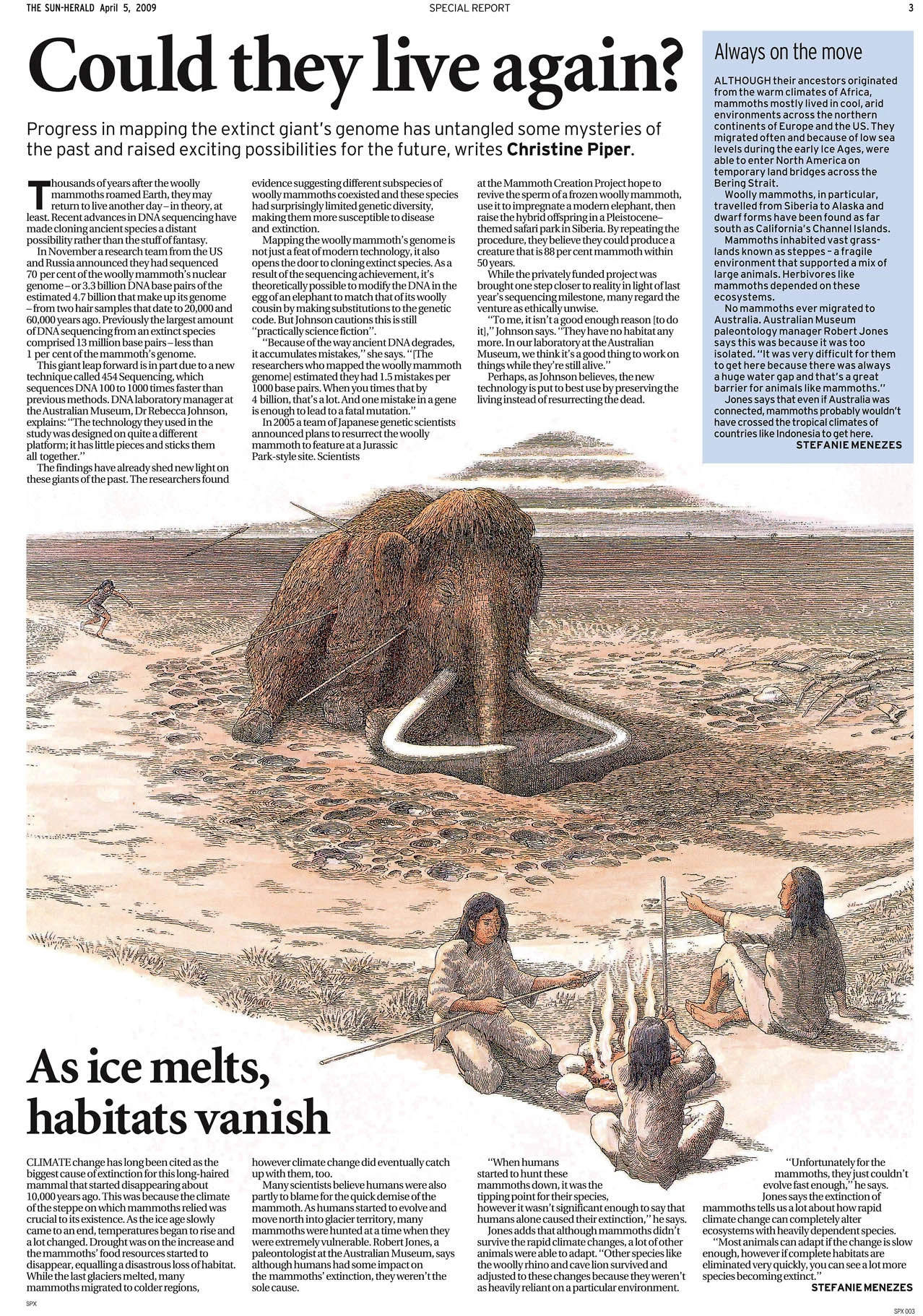 05_SunHerald_WoollyMammoth205APR09_MR.jpg