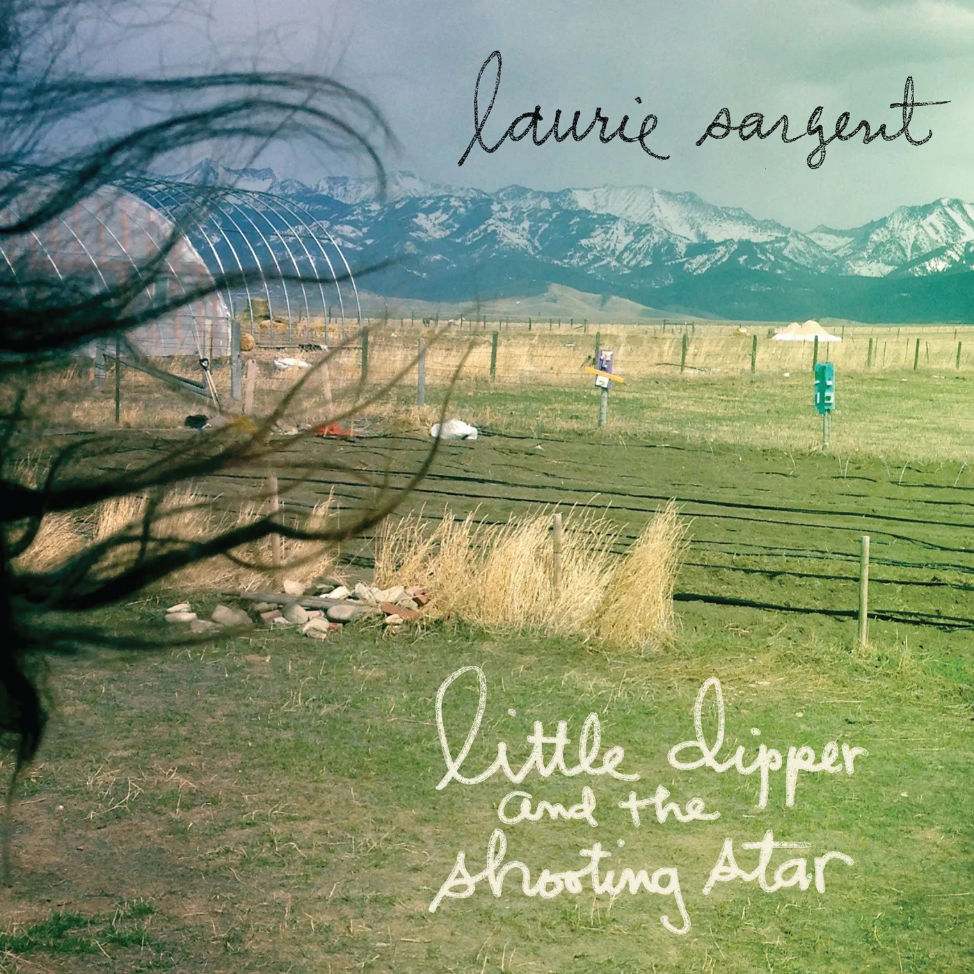 Little Dipper and the Shooting Star