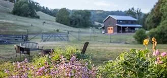 Boonville Yoga Retreat September 24-27, 2020