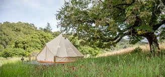 Platform Tent