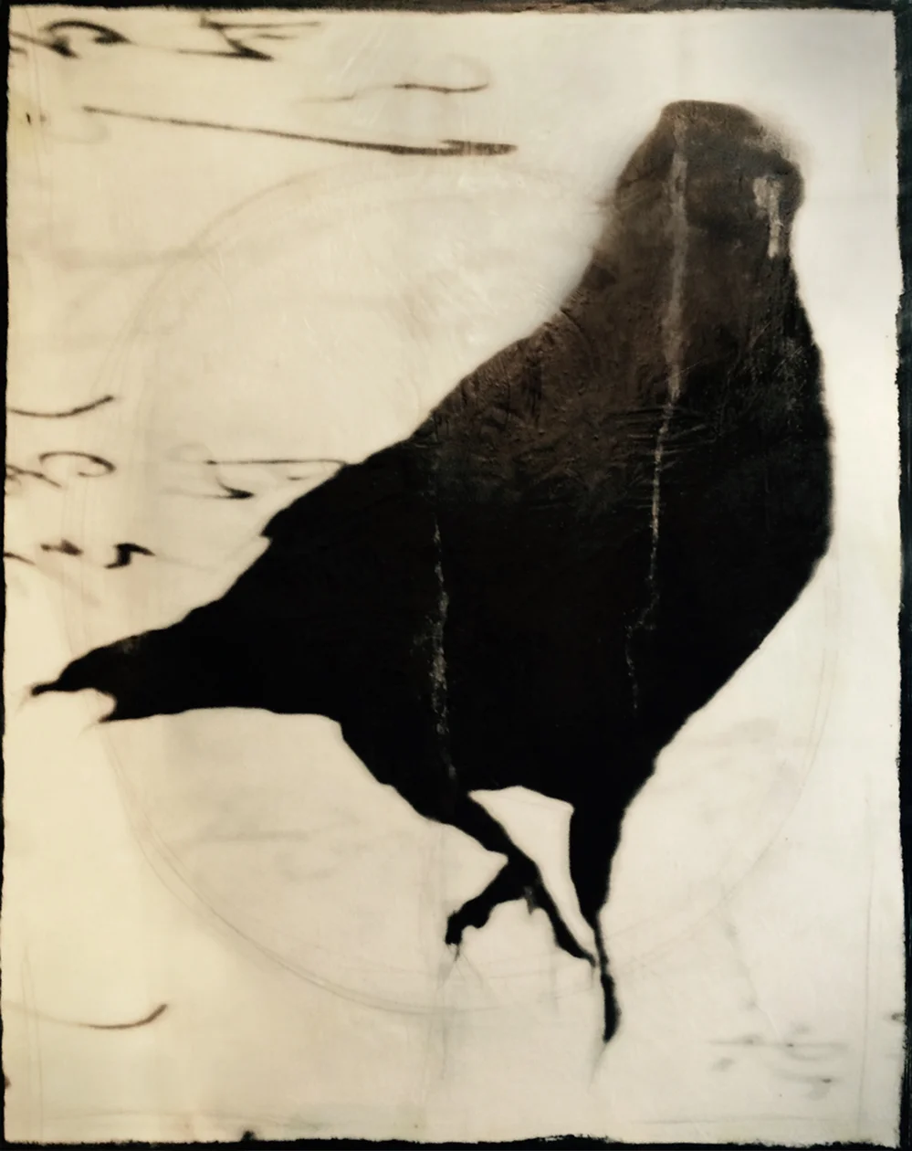 crow running .jpg