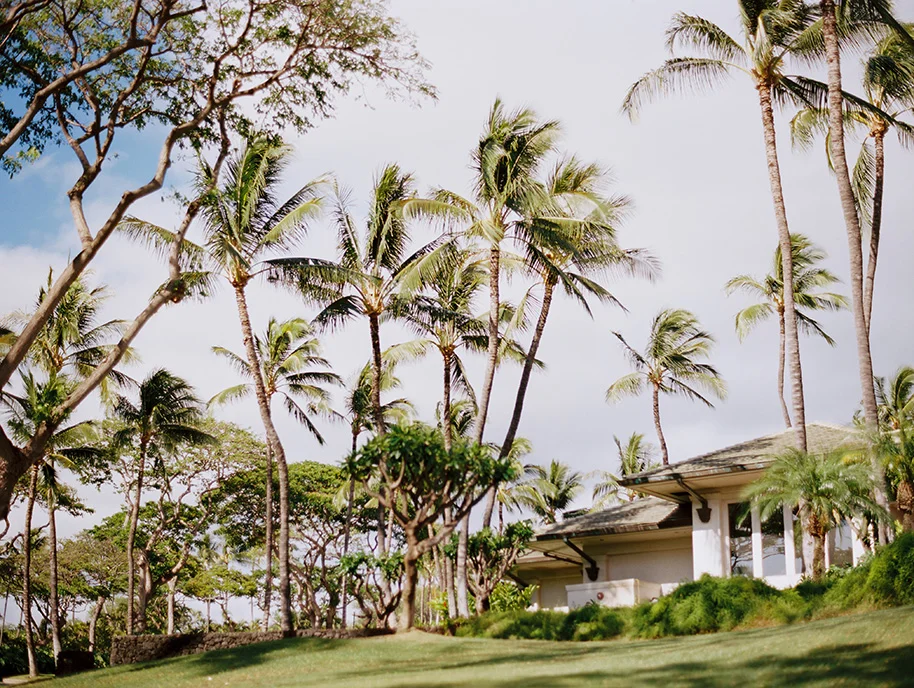 Gannons-Maui-Wedding-092016-11.jpg