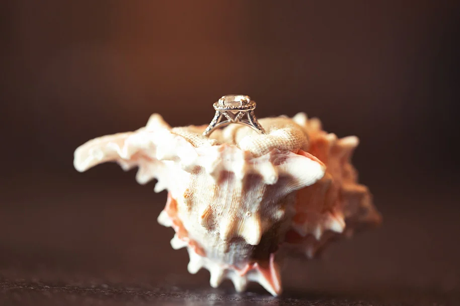 Paradise-Cove-Wedding-101416-1.jpg