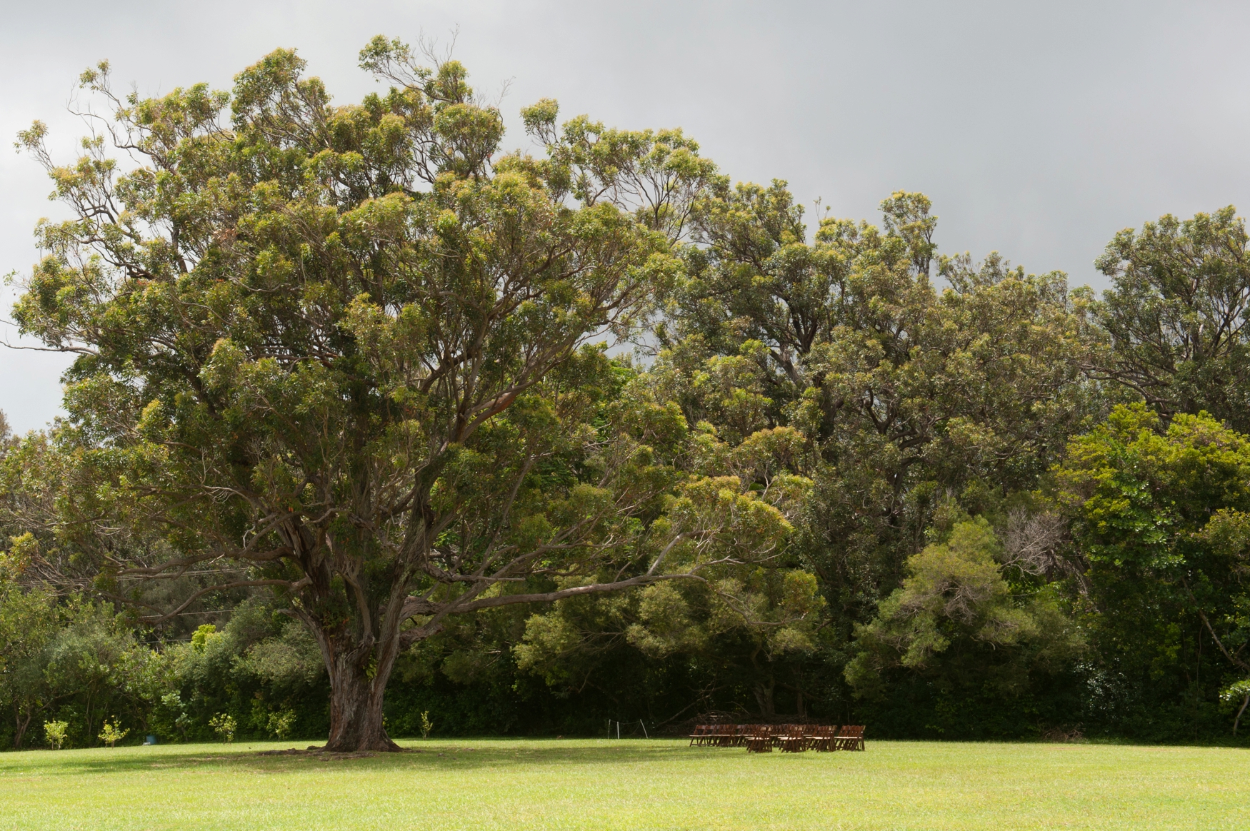 A Rustic Wedding At Sunset Ranch Hawaii Wedding Style
