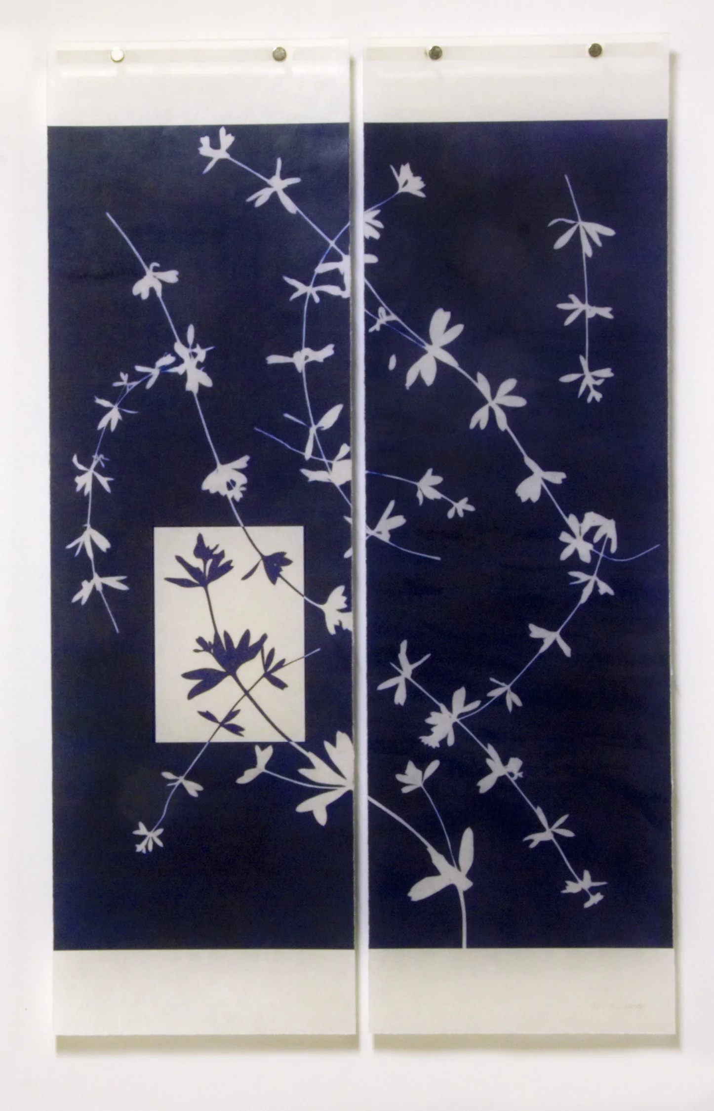 Weeds (With Reversed Insert)