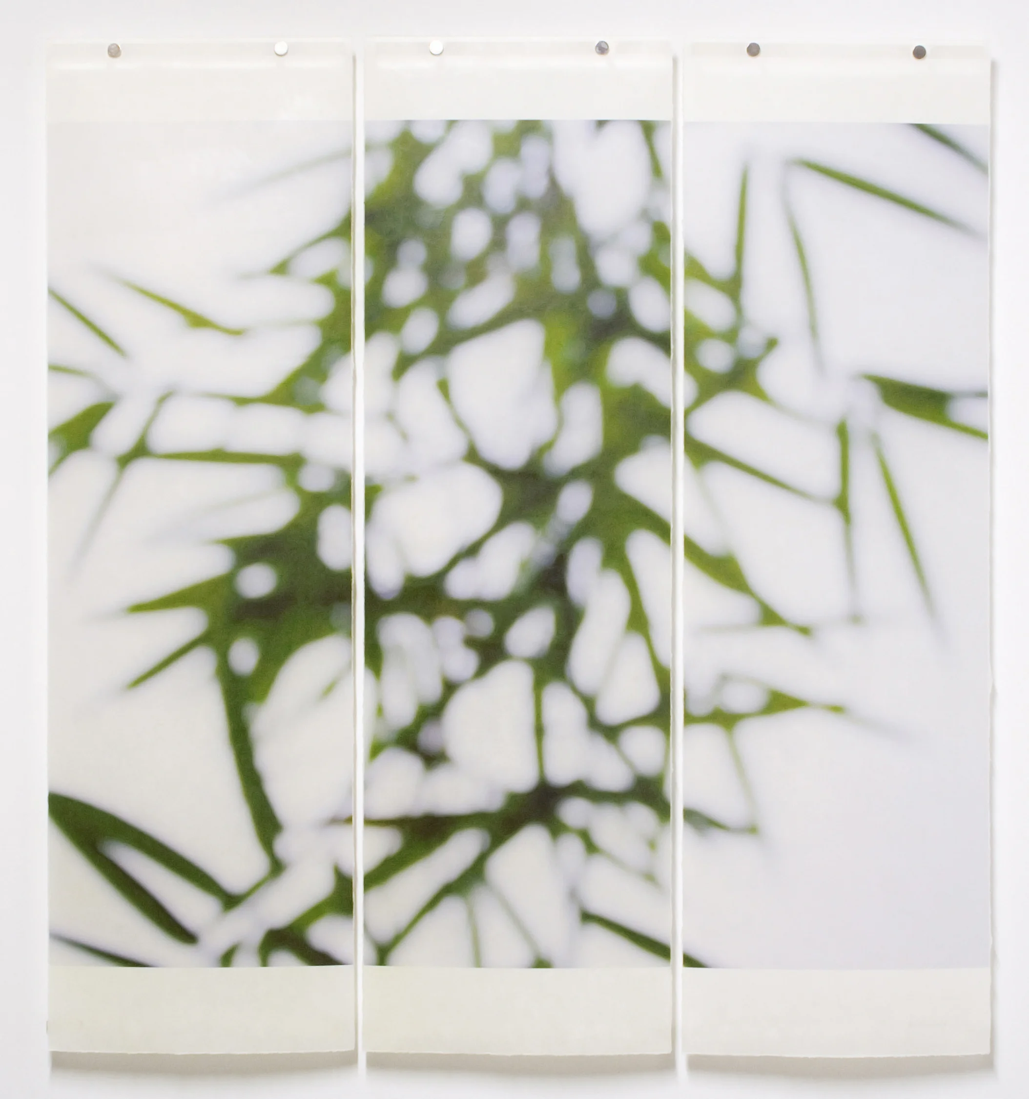 Summer Greens, No.6