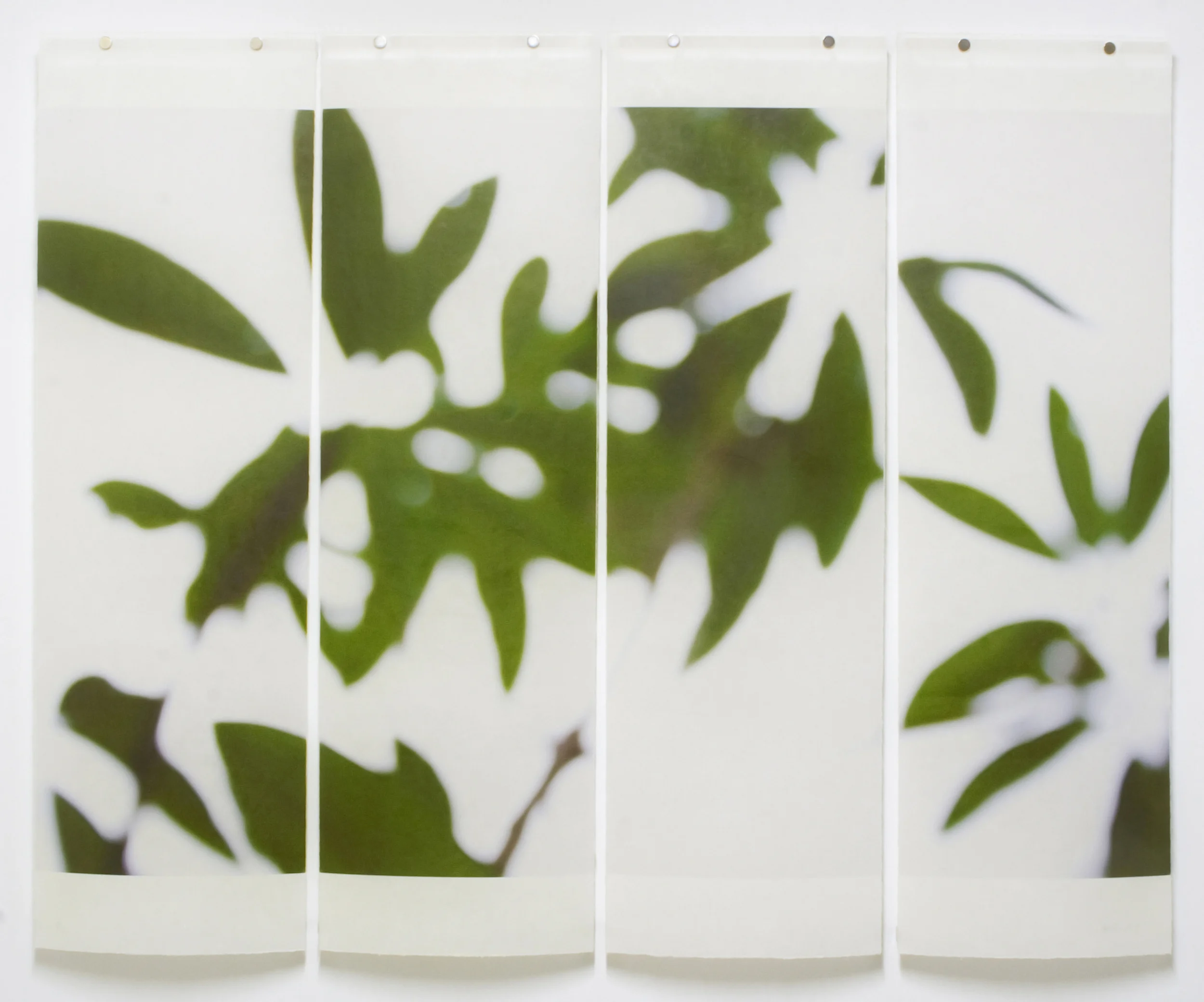 Summer Greens, No.8