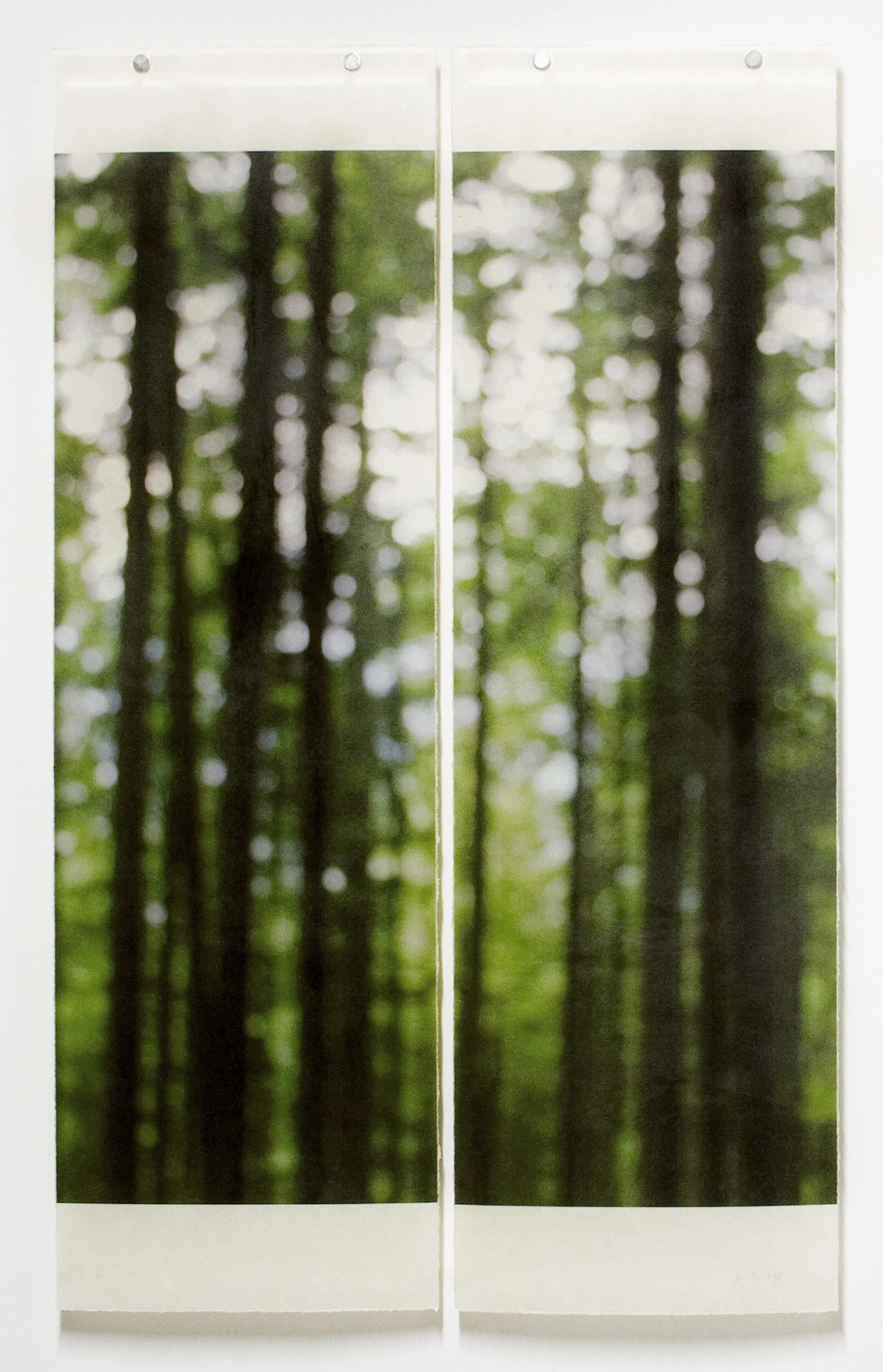 Summer Greens (Trailside)