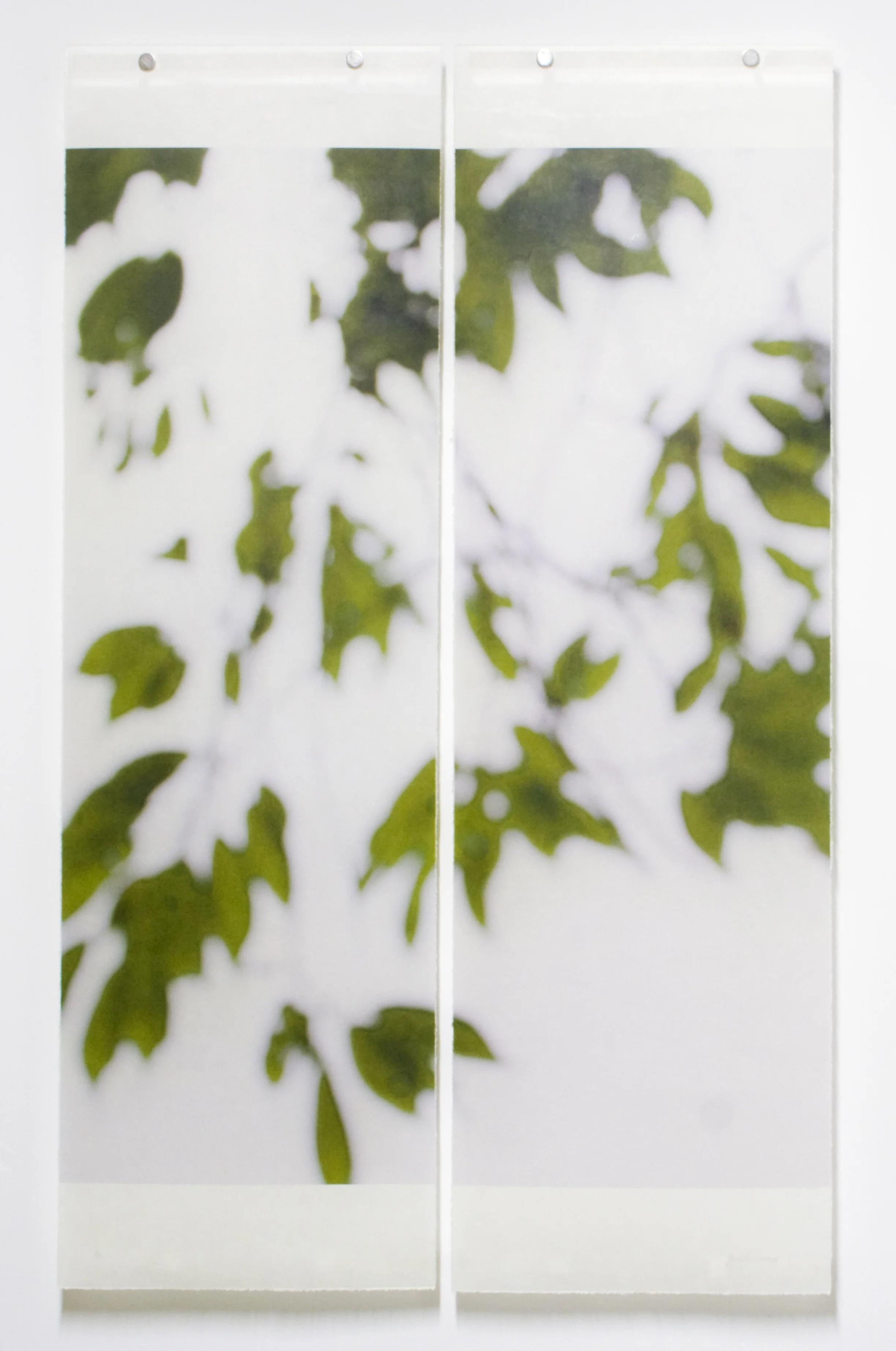 Summer Greens, No.9