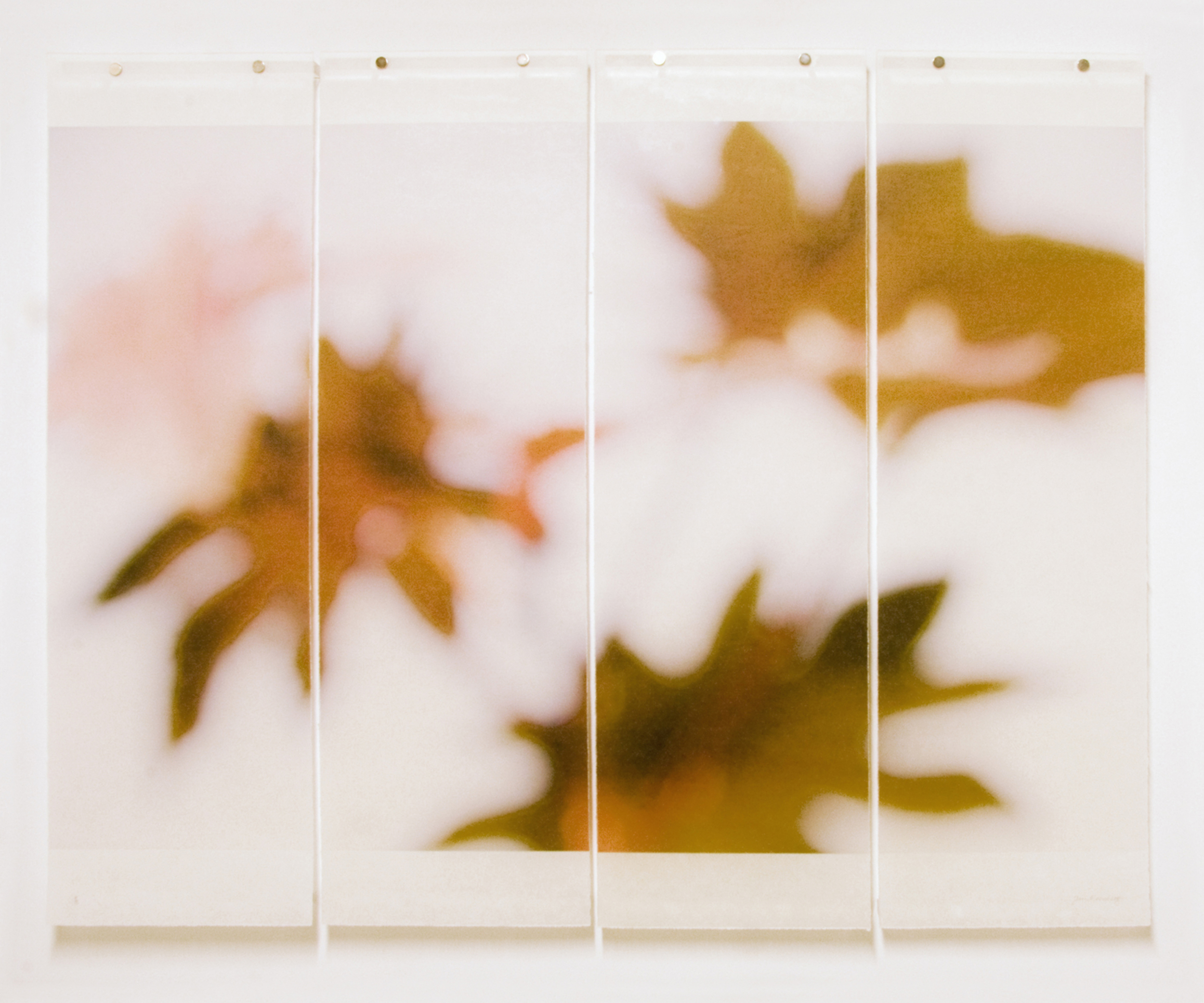 Ornamentals
