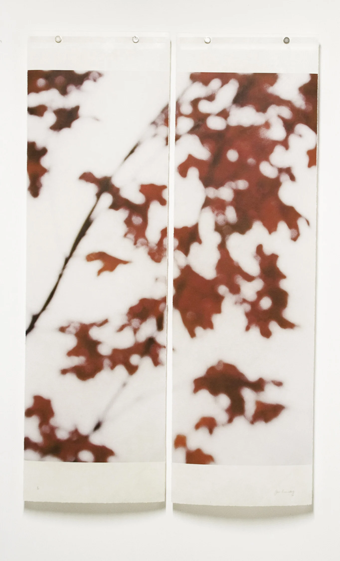 Sugar Maple Flutters (Red)