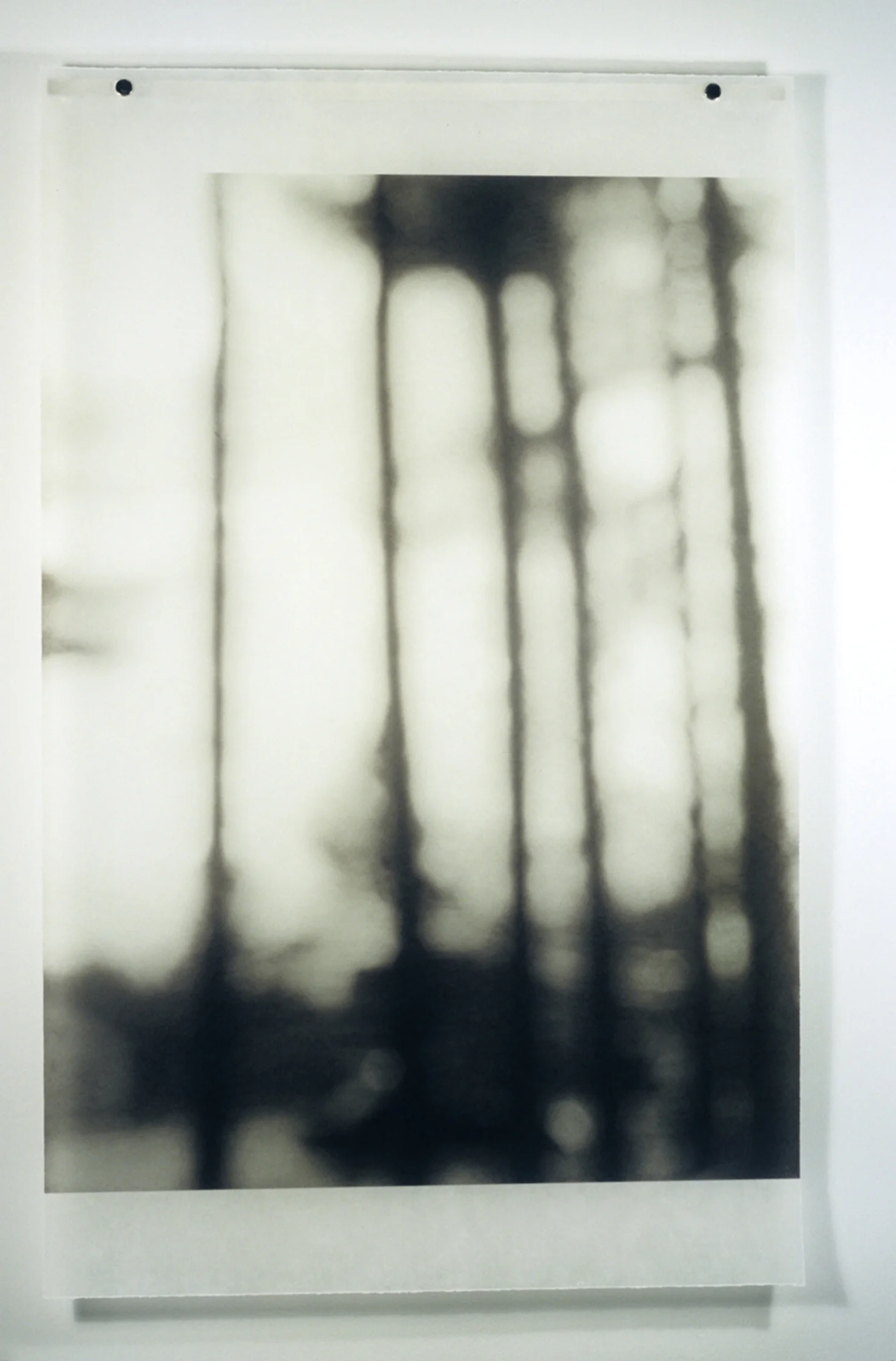 Brunswick Woods, No.3
