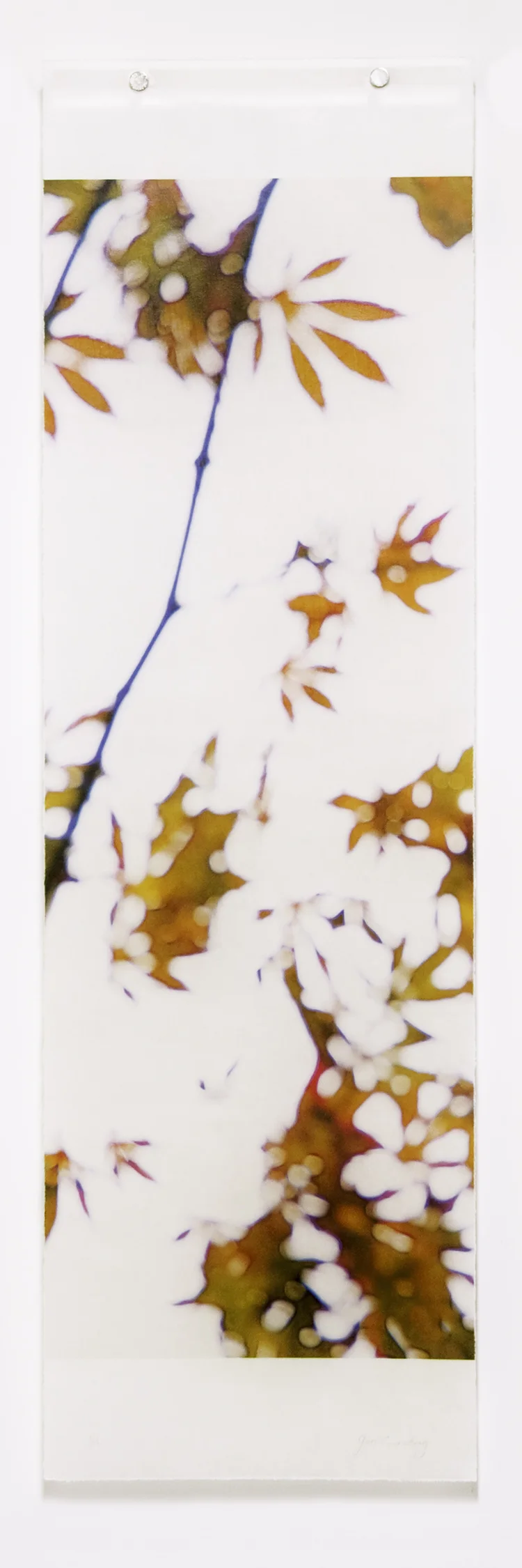 Momiji, No.16